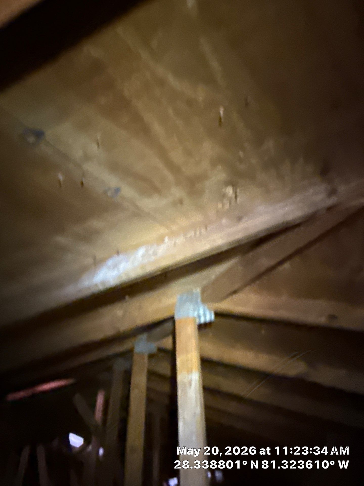 Project in Kissimmee, FL by New Horizons Roofing Inc
