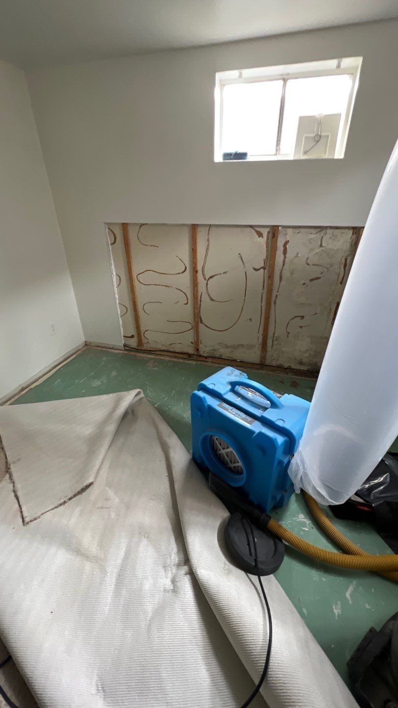 Mold Remediation by Accountable Home Services