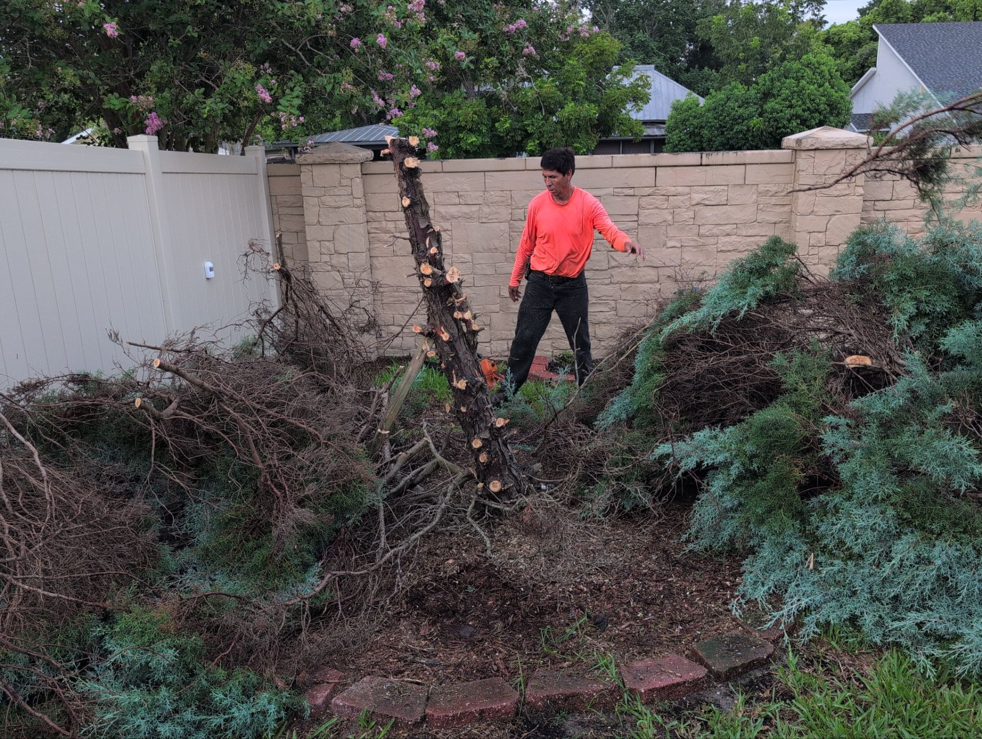 Tree Removal by 
M.A.B. Landscaping & Property Maintenance
