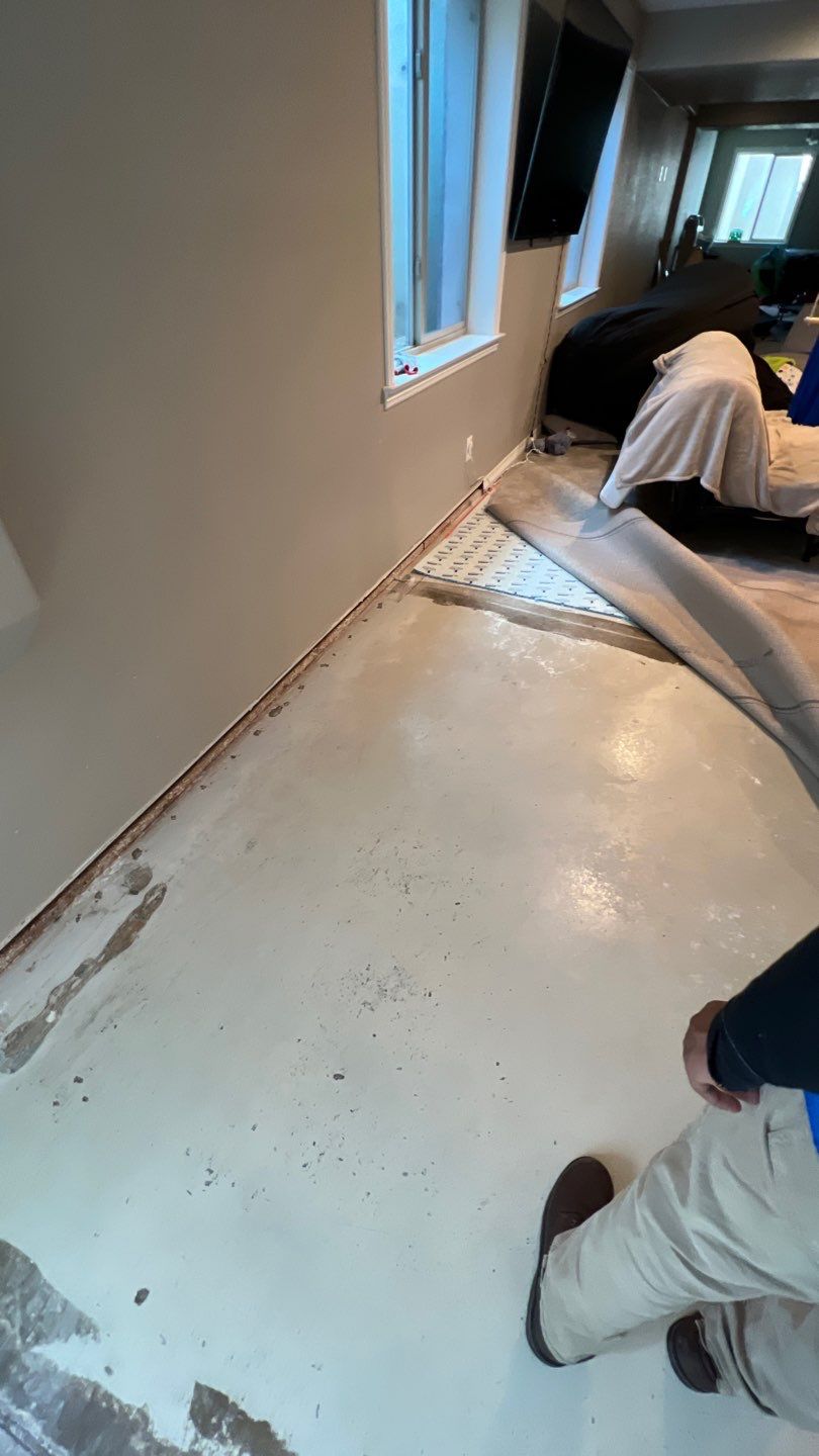 Mold Remediation  by Accountable Home Services