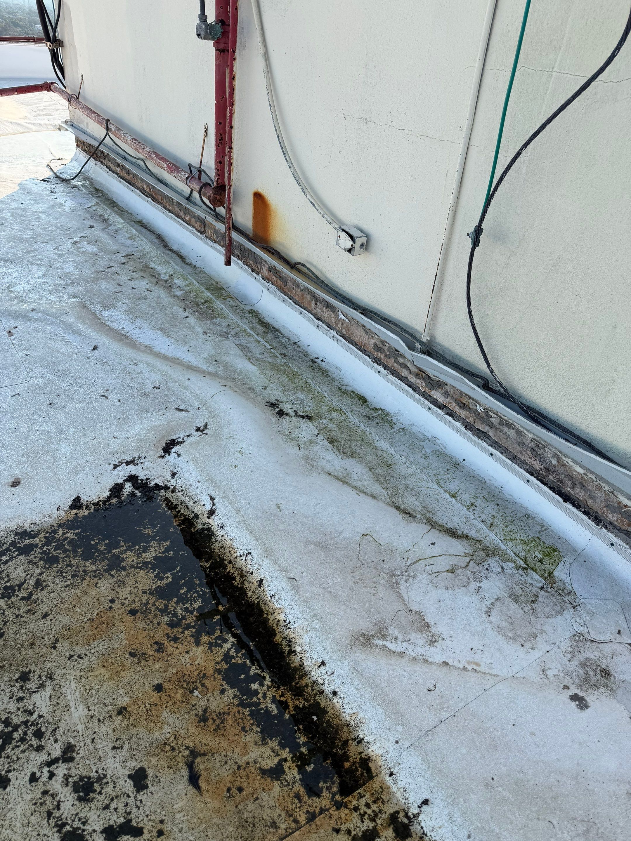 Commercial Roof - South Pasadena, Florida by Tru Concepts