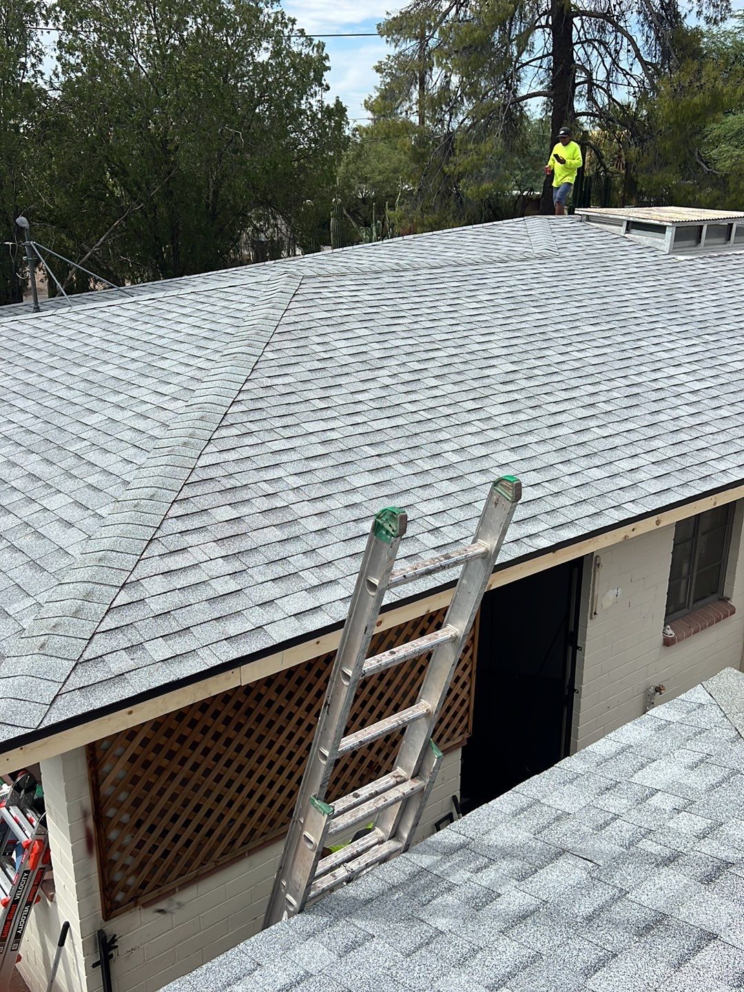 Silver Birch Shingles by Reimagine Roofing