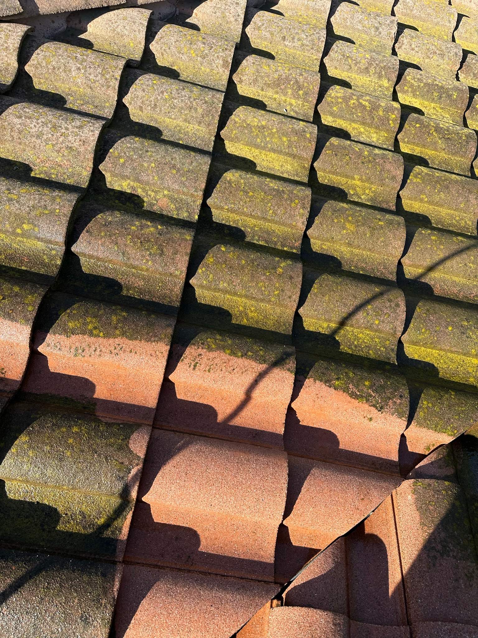 Roof wash on this dirty roof covered in algae by Property Cleaning Experts, LLC