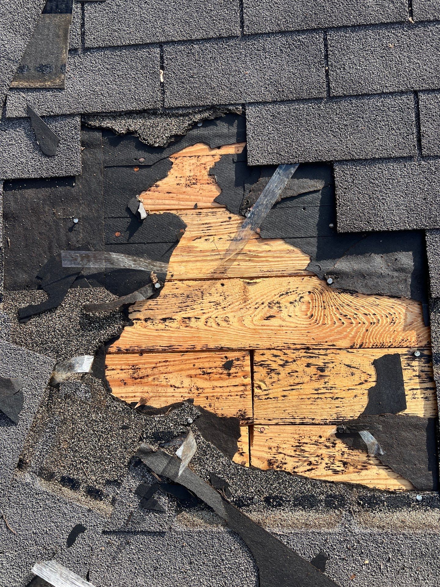 Commercial Metal Roofing Replacement in Adger by The Roofing Dudes