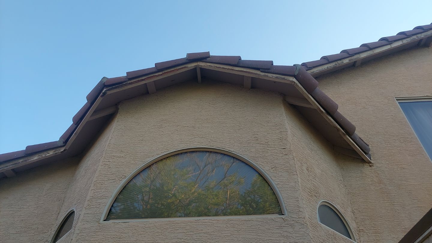 Exterior Painting - Gilbert by Crash of Rhinos Painting & Garage Floors