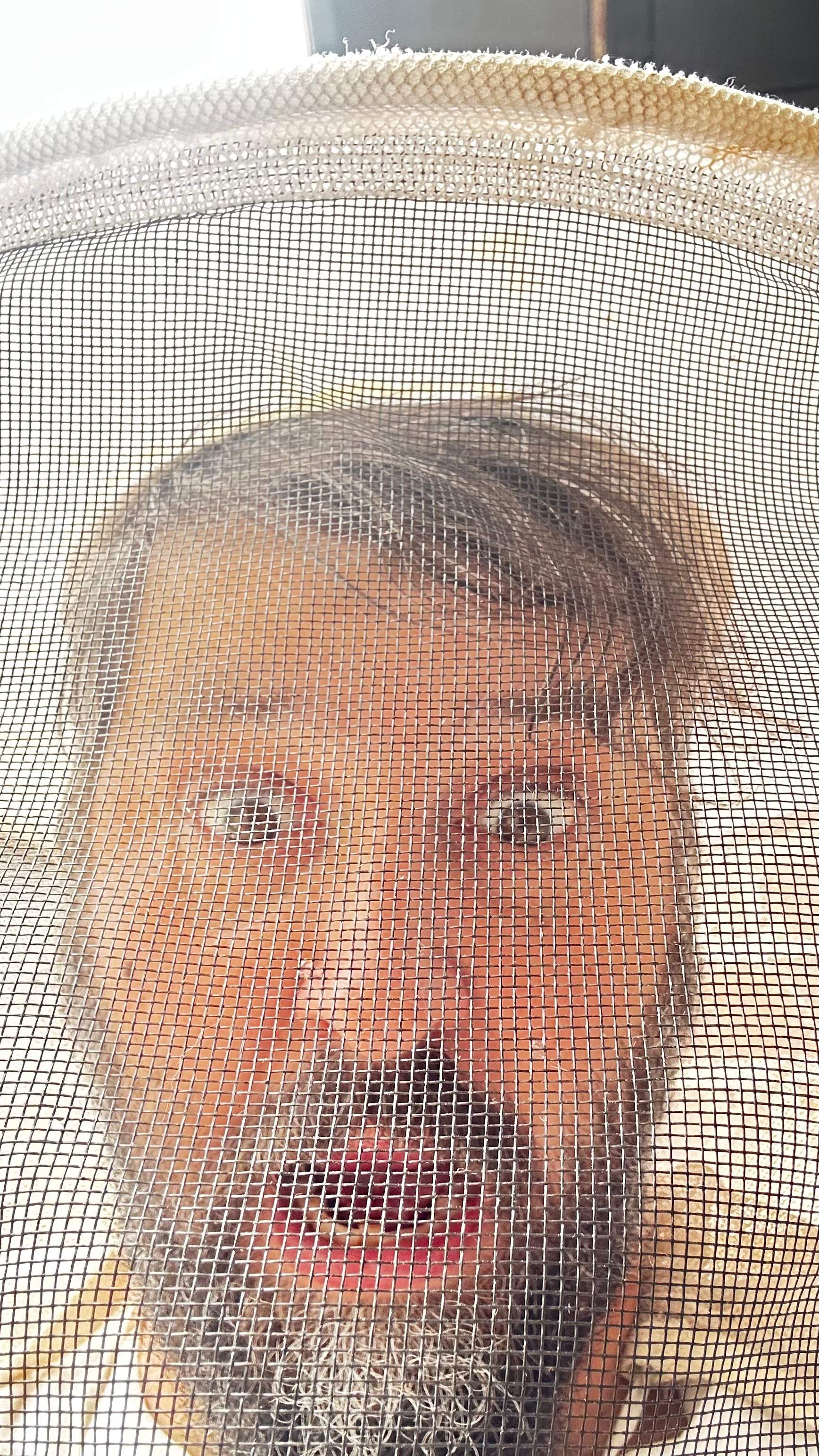 Bees Underfoot by Rockwall Honey Bee Company