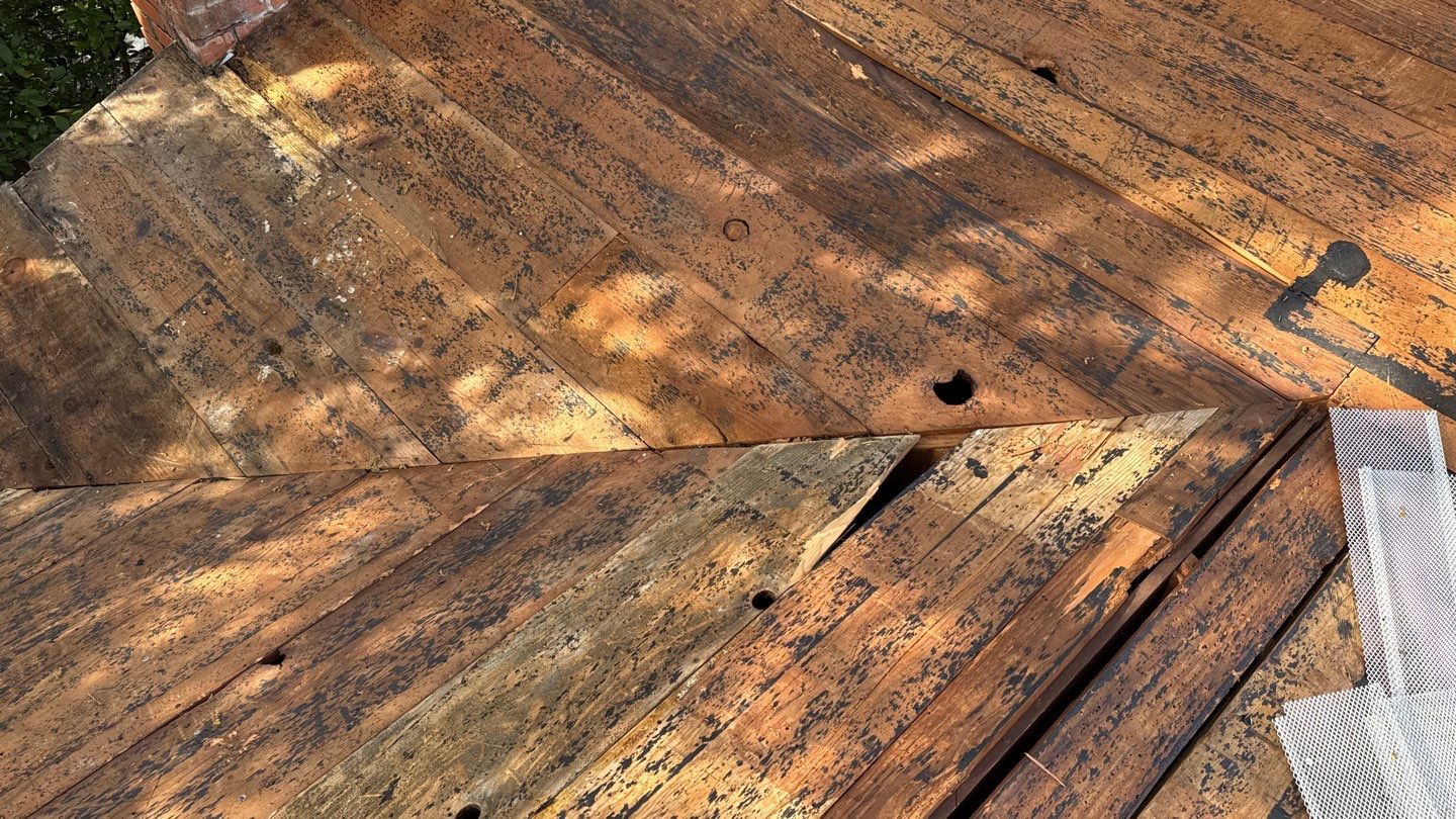 Willa Holmstock by NuLead Construction Inc