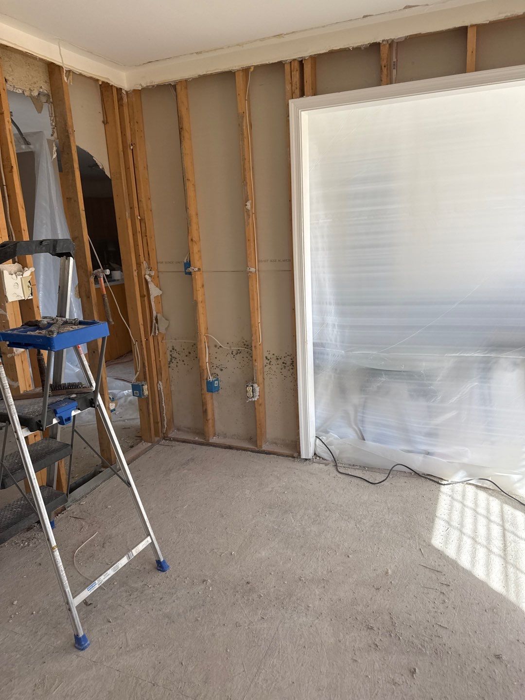 Water Damage& Mold Remediation Project-Dover, DE. by Healthy Home Solutions