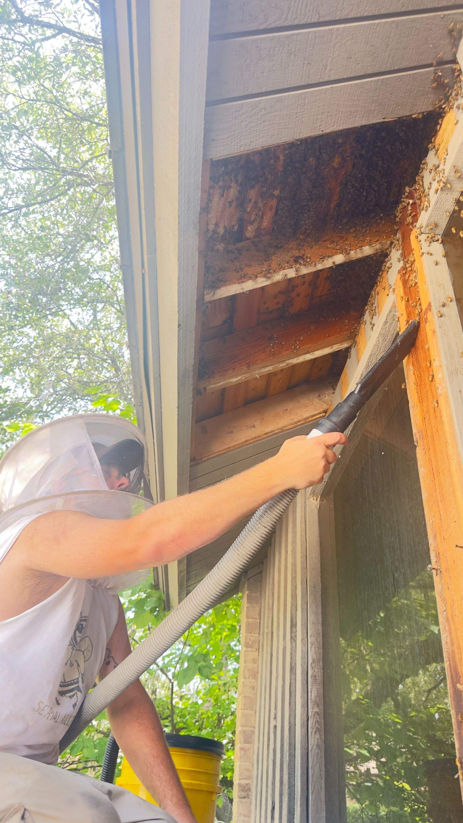 Old Faithful by Rockwall Honey Bee Company