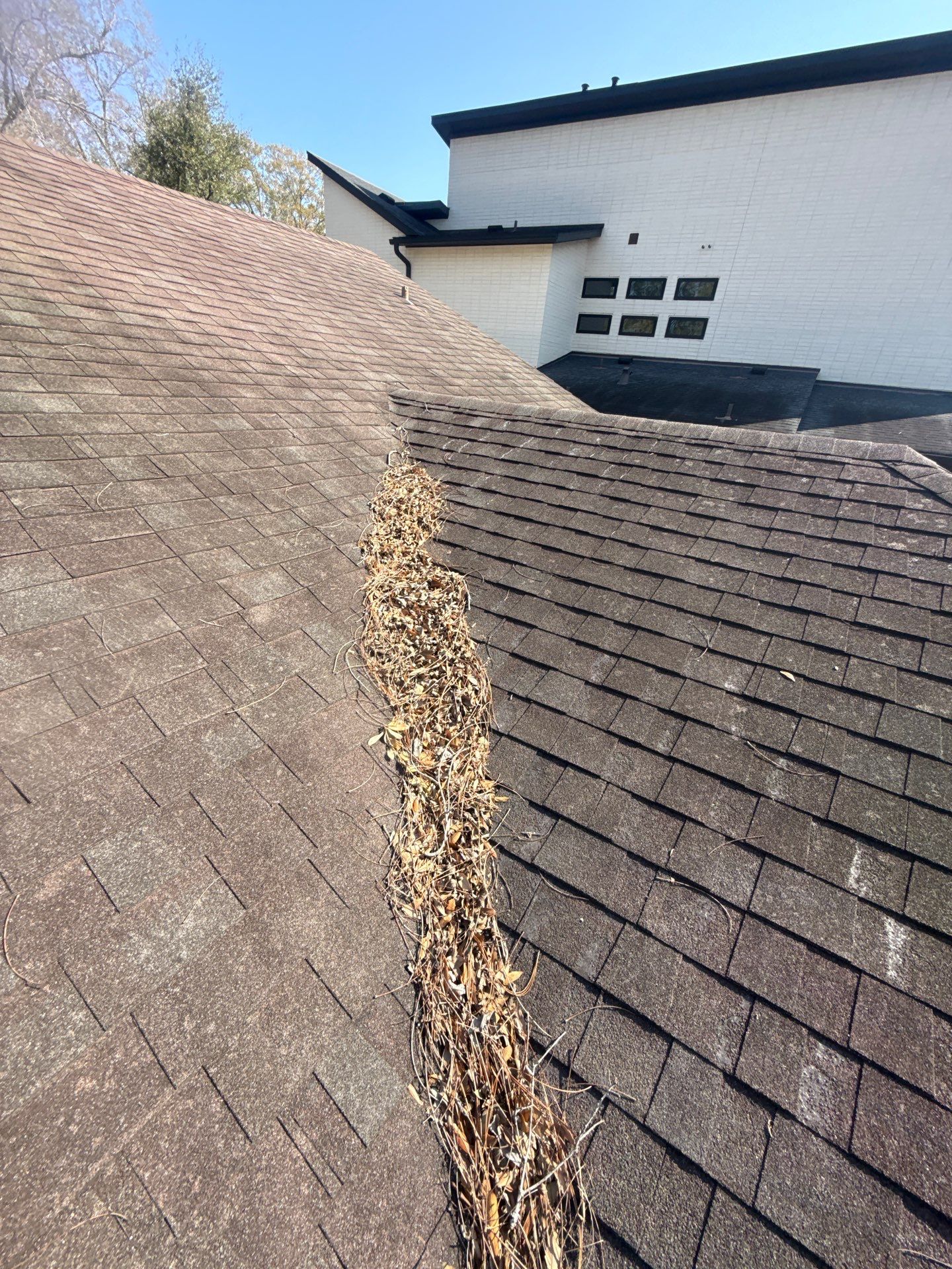 Roof Replacement in Meyerland Area, Houston TX by Roof Repair Company