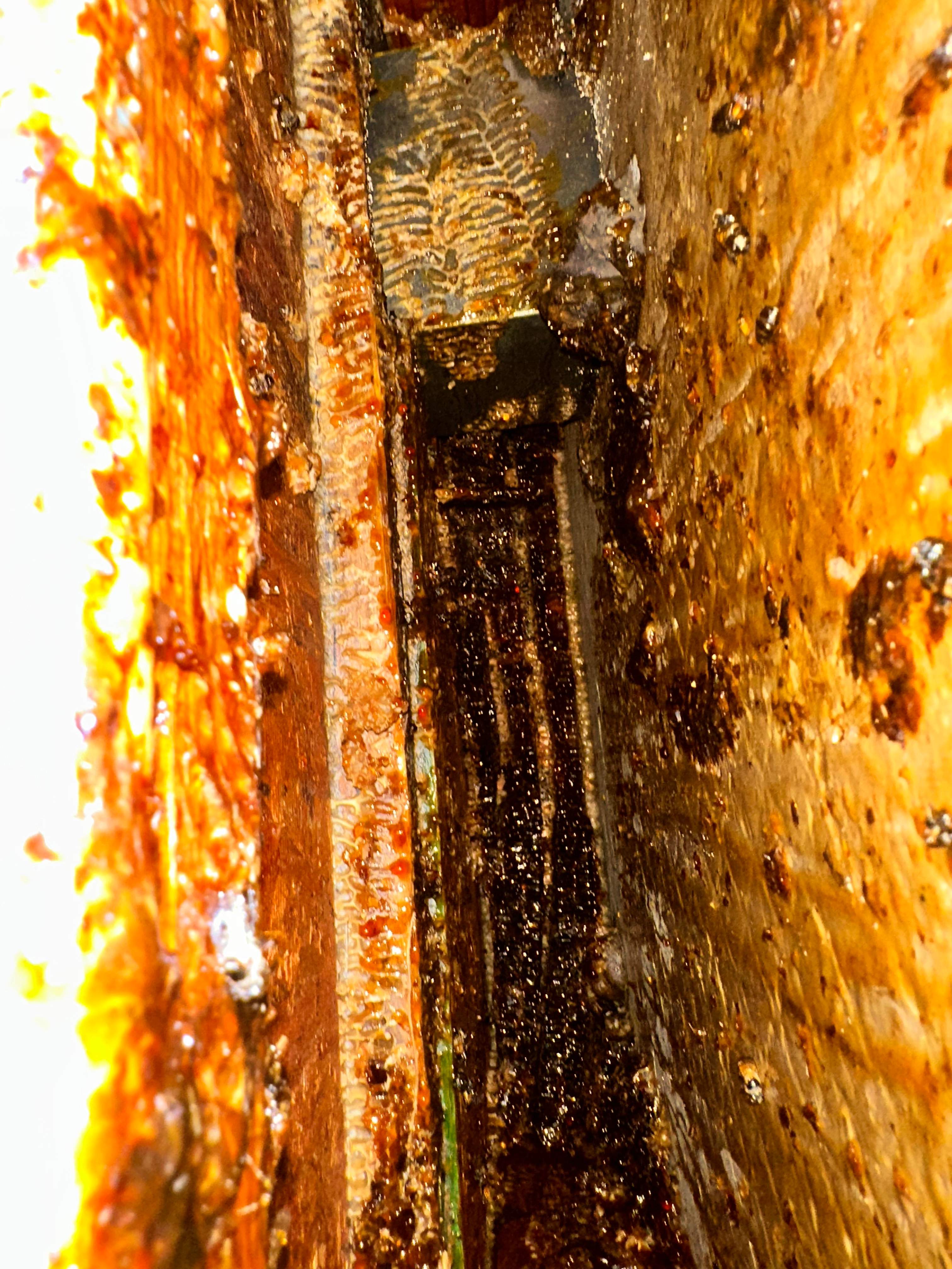 Hotel by Rockwall Honey Bee Company