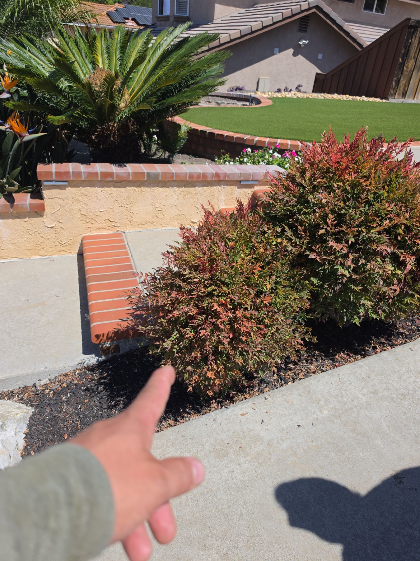 Hand Removal & Site Preparation Project by Yard Techs
