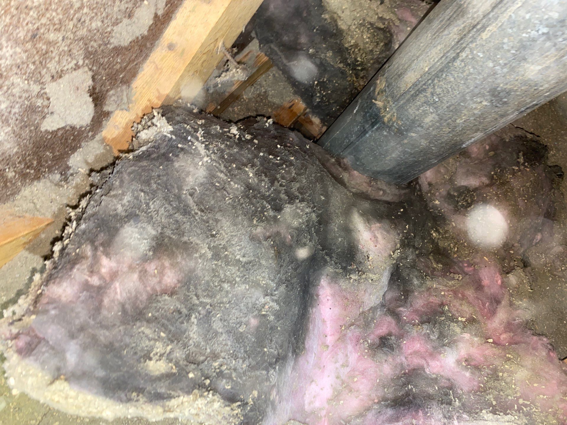Sanitize attic from rodent droppings and insulate by Home Environment Solutions