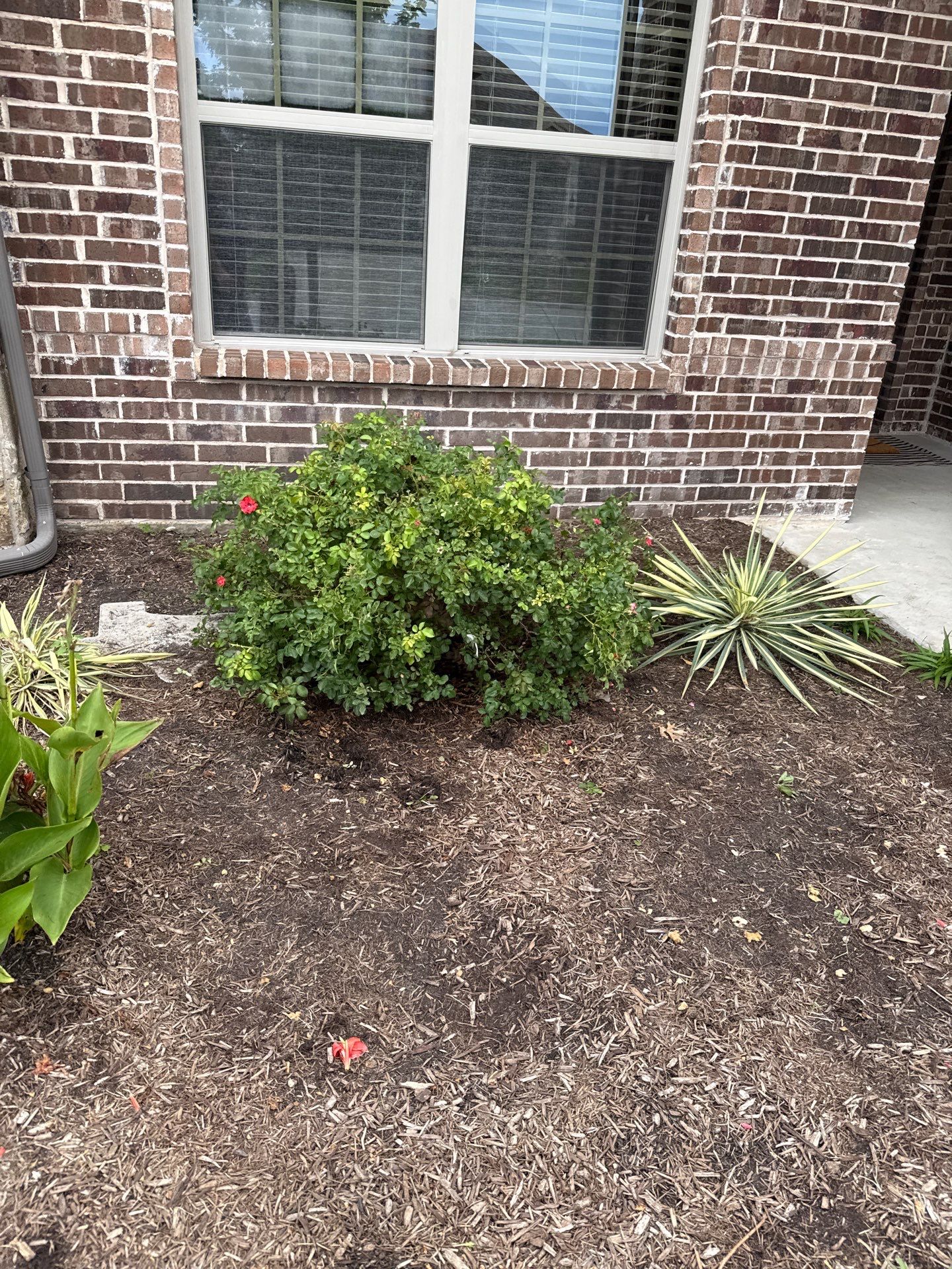 Project in Wylie by Rhino Roofing and General Contracting, LLC