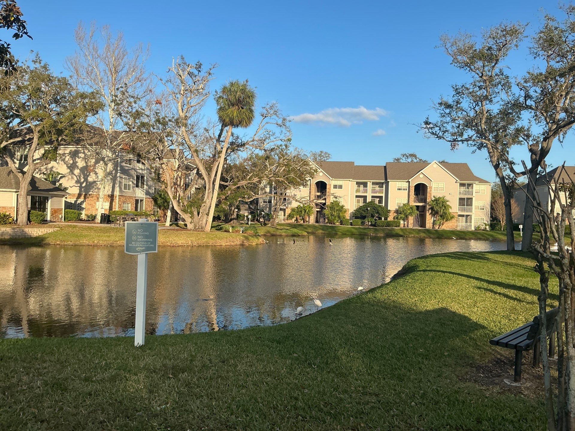 Downspouts for the High Buildings in Tampa FL by Gutter Professors