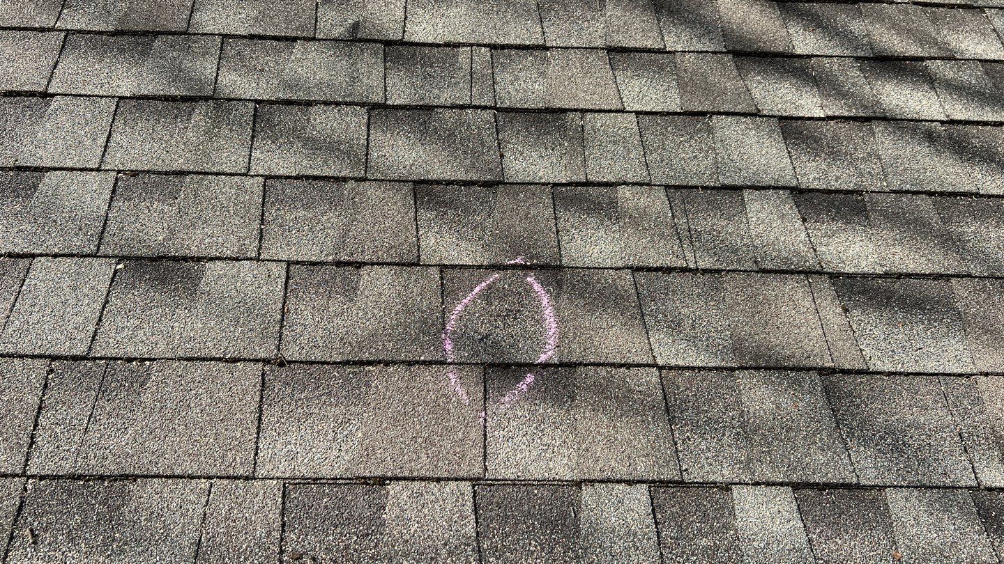 Winter storm 2023 with tree damage by Oakwood Roofing and Construction, LLC