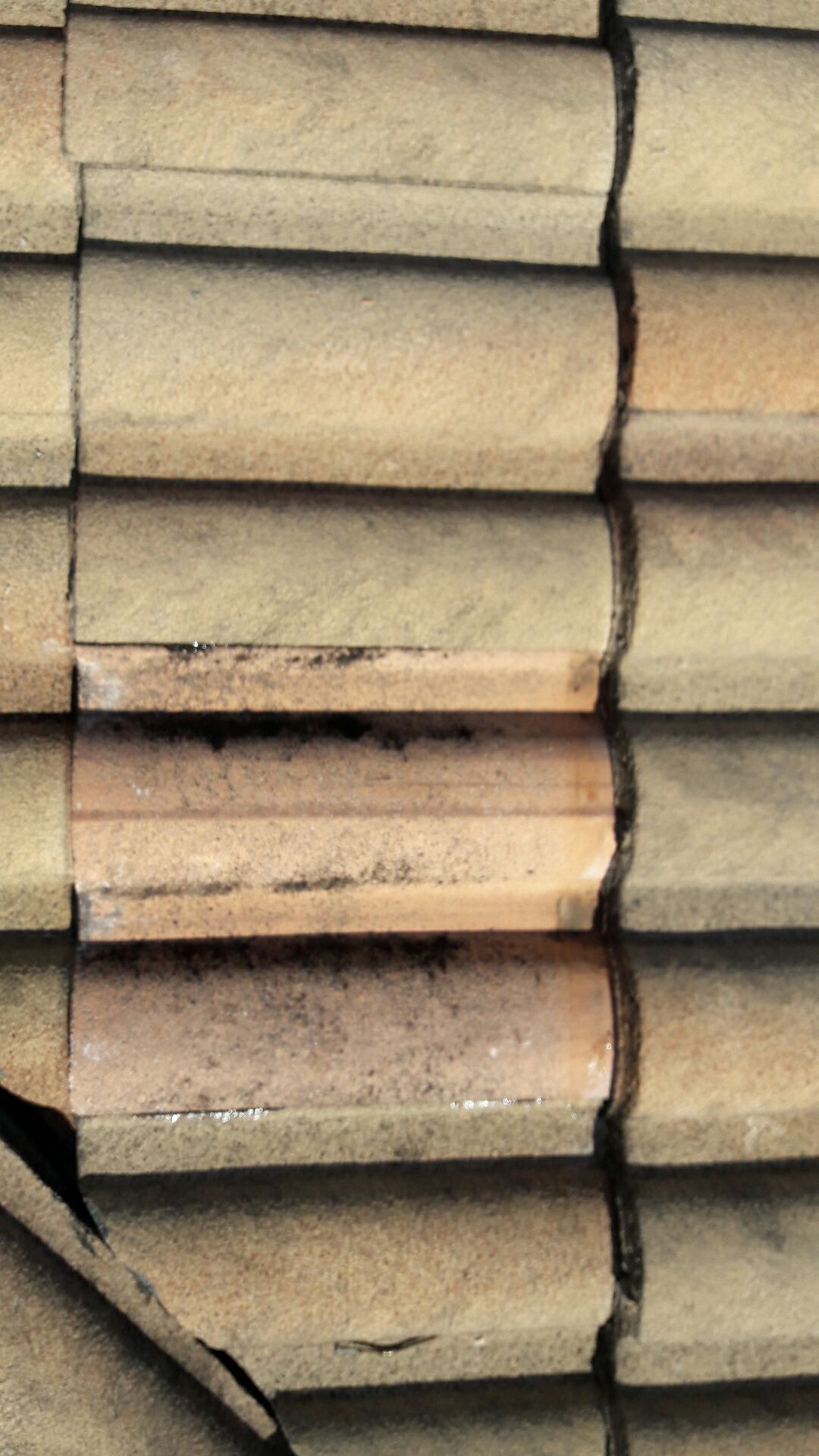 Concrete Barrel Tile Roof Repair in West Palm Beach by Aastro Roofing
