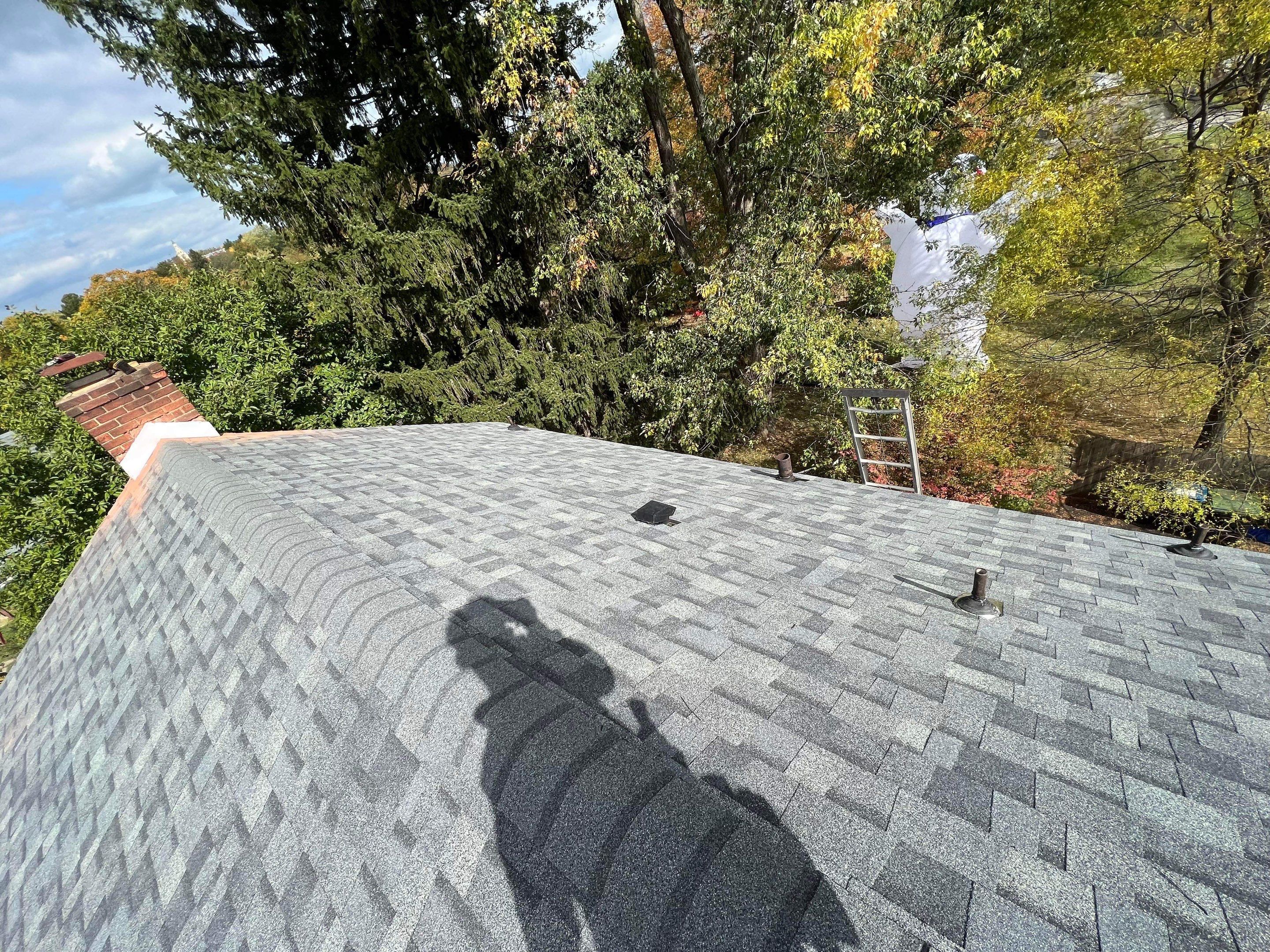 Silver Birch Shingles by Reimagine Roofing