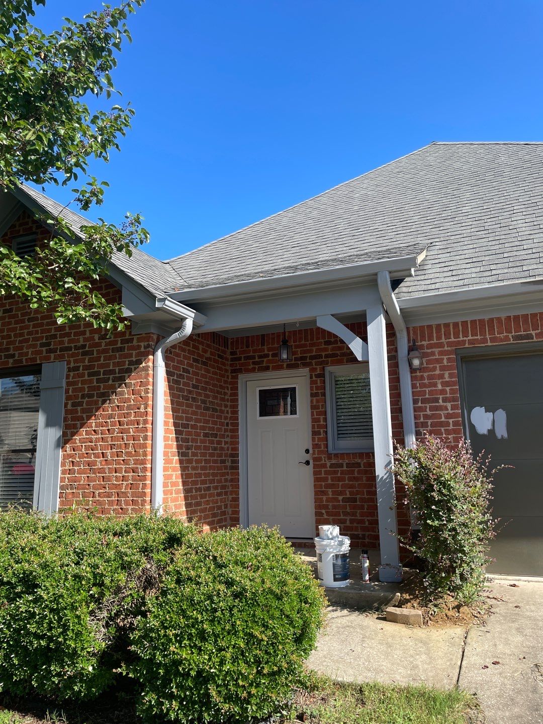 Downing Park - Paint by Pillar and Pine