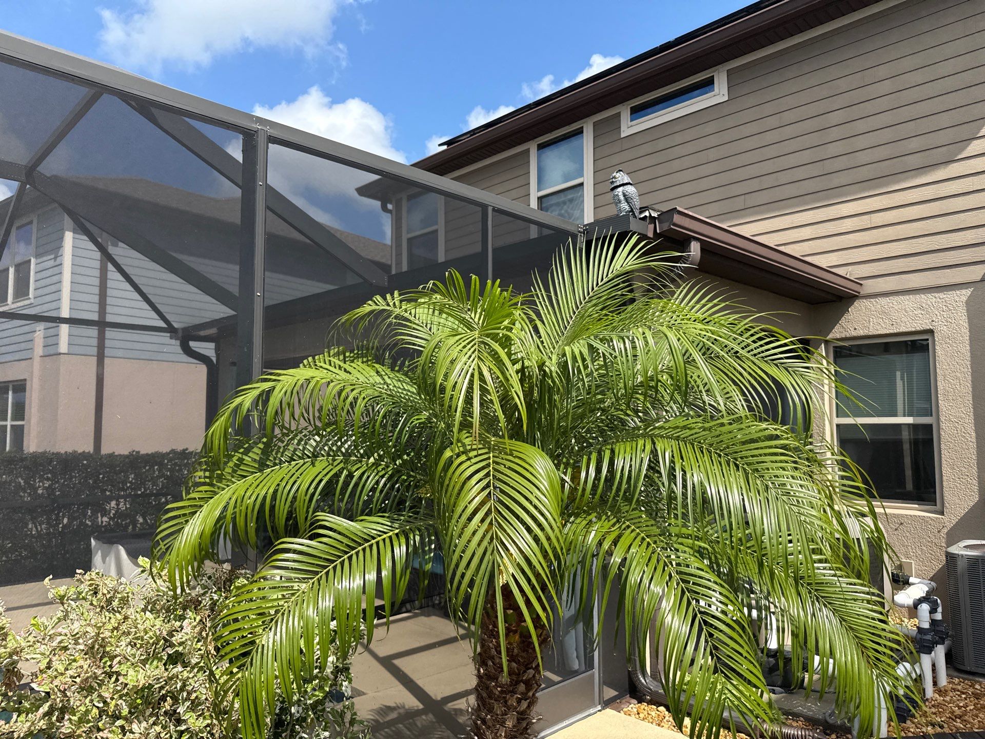 Roof Soft Wash, Pool Deck & Screen Enclosure Cleaning – Trevesta Community, Palmetto, FL by Sunshine AquaWash