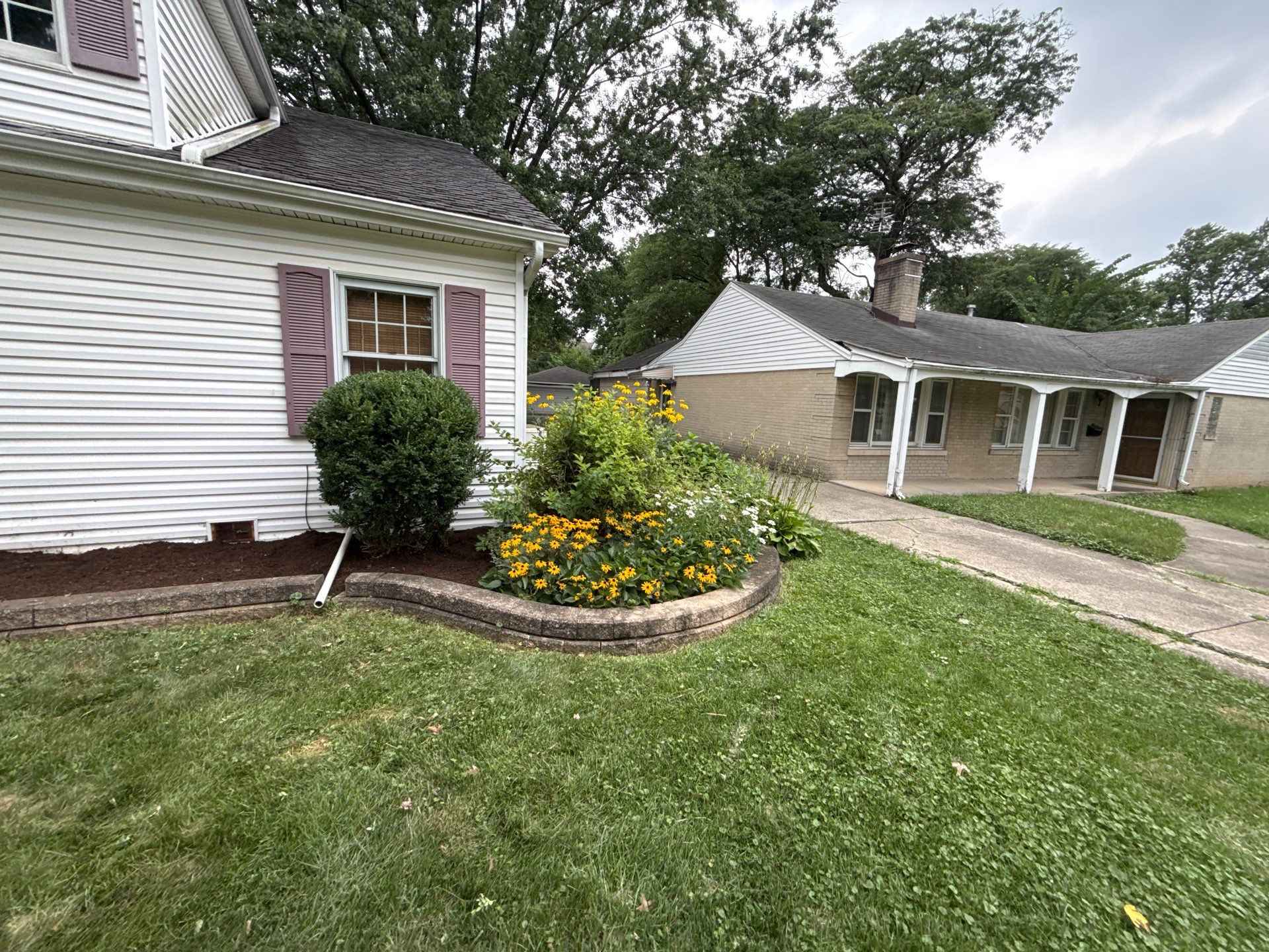 Steven L. - Park Ridge, IL by A&N