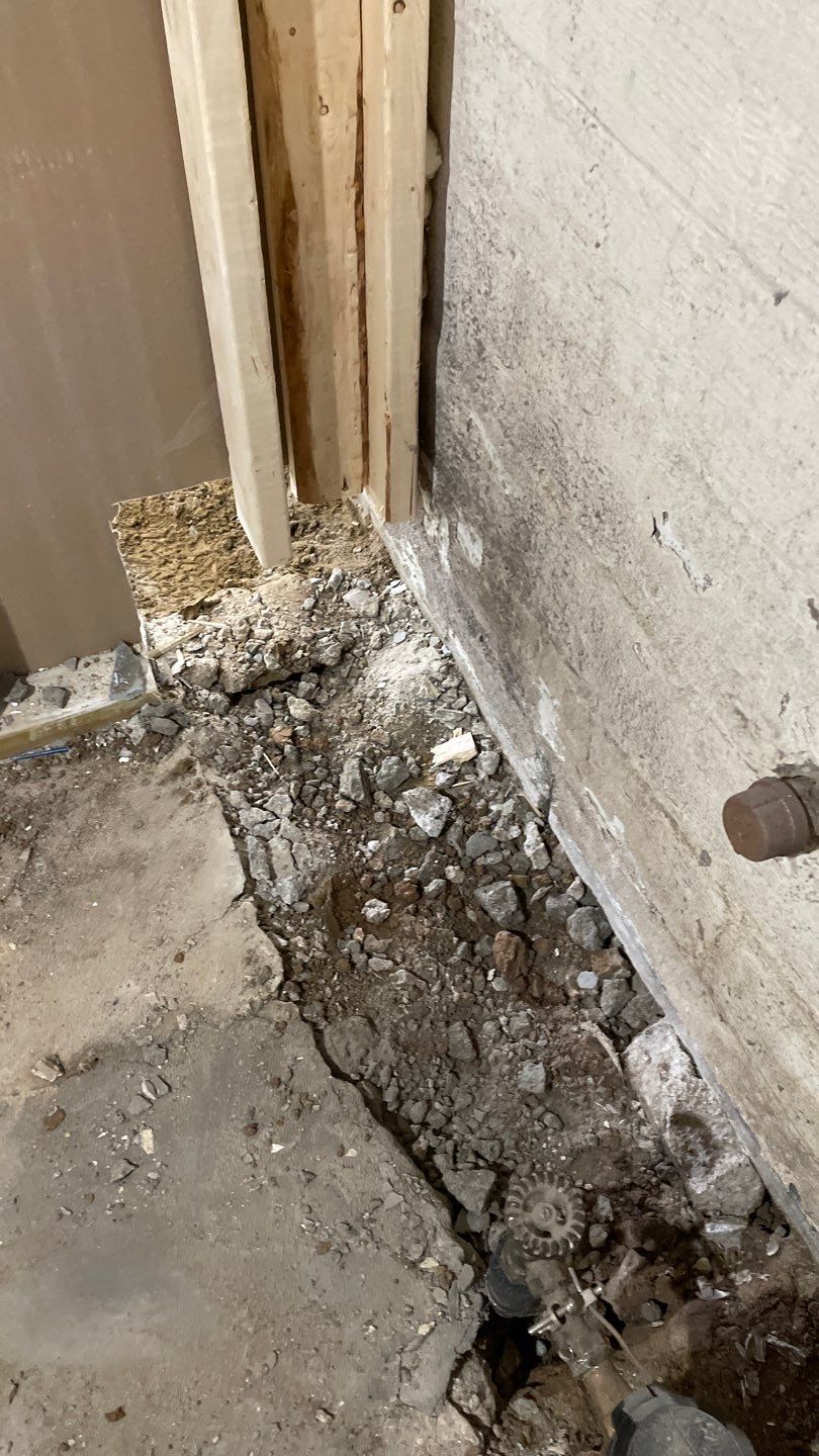 Sarena's New Home by Waterproofing Northeast