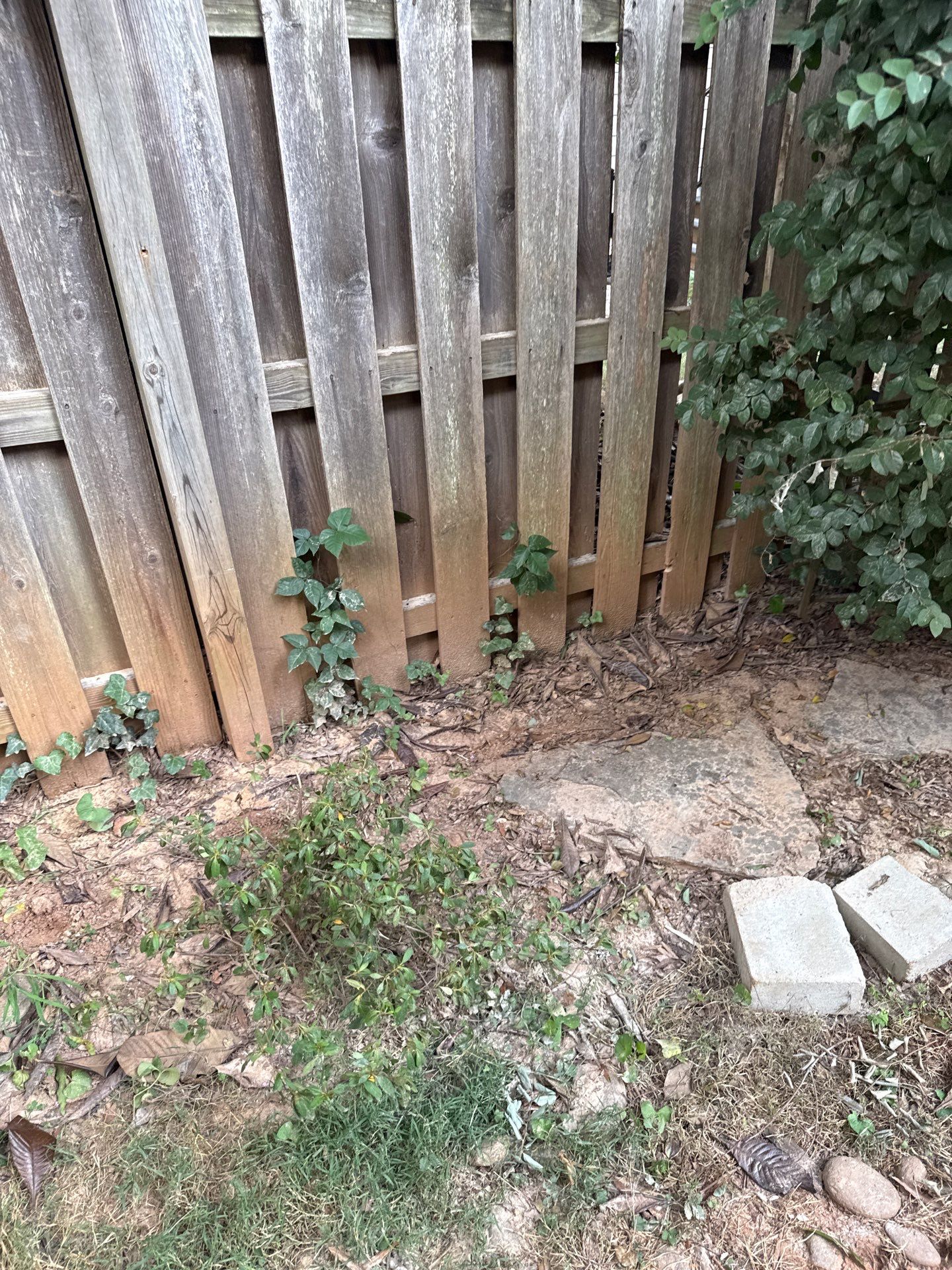 Project in Charlotte by Badger Hauling