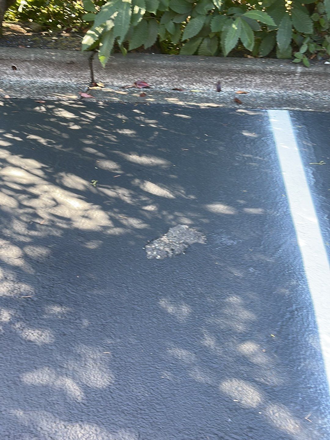 Eastside Preparatory School | Asphalt & Striping  by Jireh Asphalt & Concrete Inc 