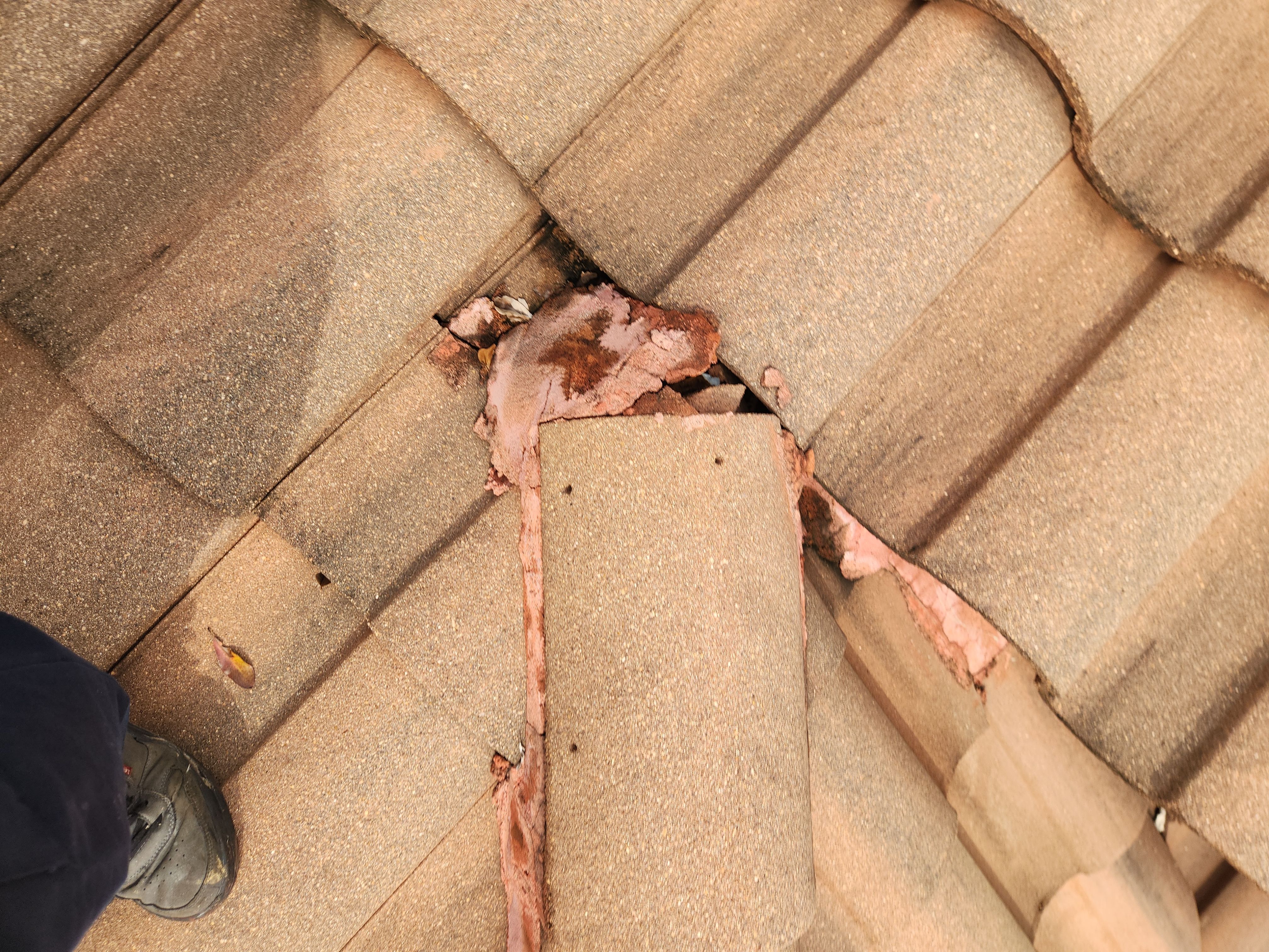 Concrete Tile Roof Repair and Ridge Sealing in Parkland by Aastro Roofing
