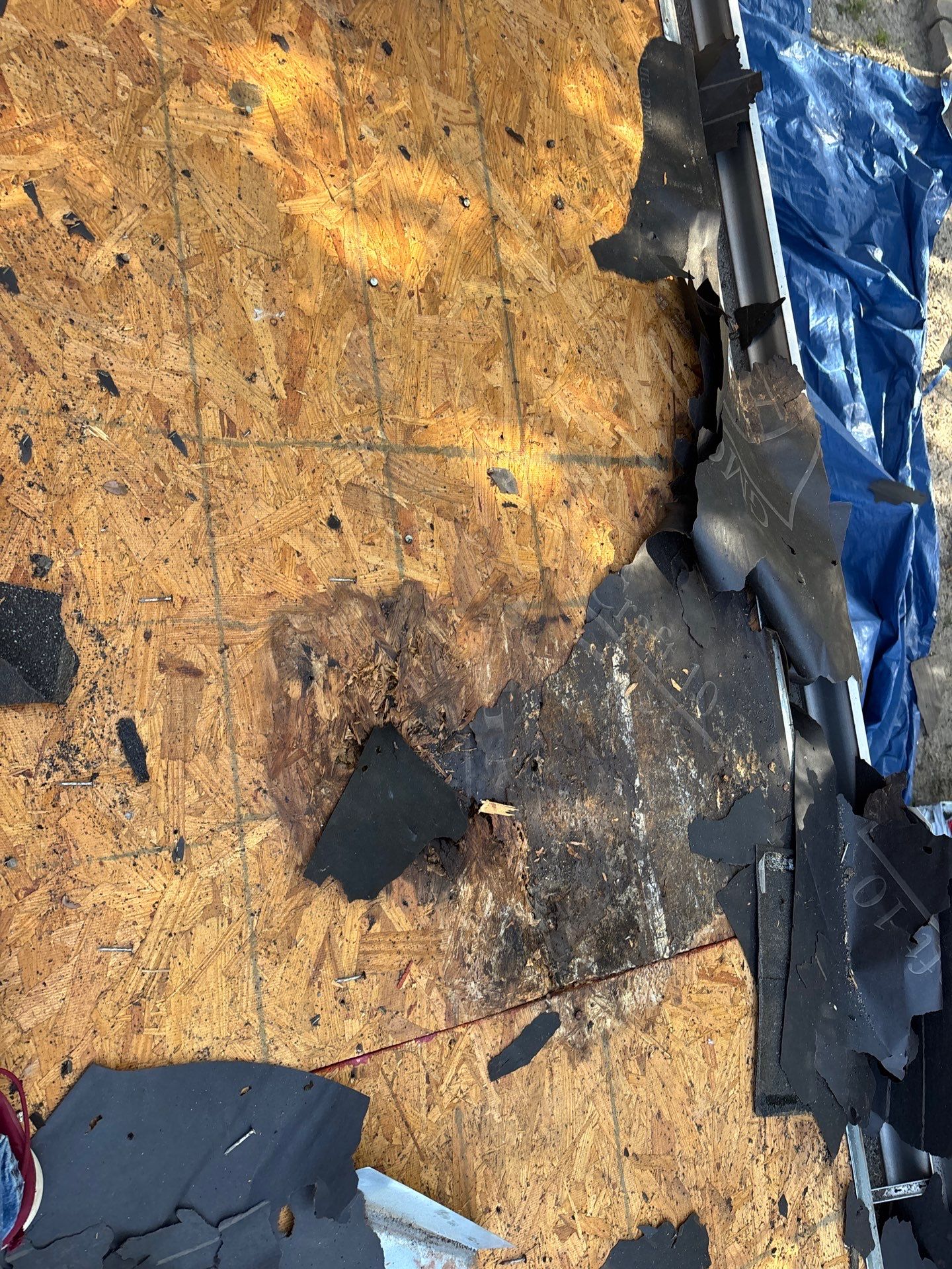 Roof Replacement Magnolia by Roof Repair Services LLC