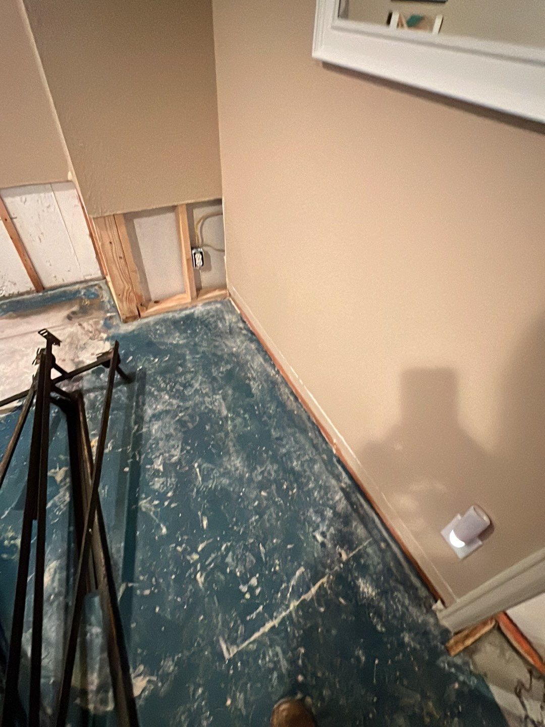 Mold Damage by Accountable Home Services