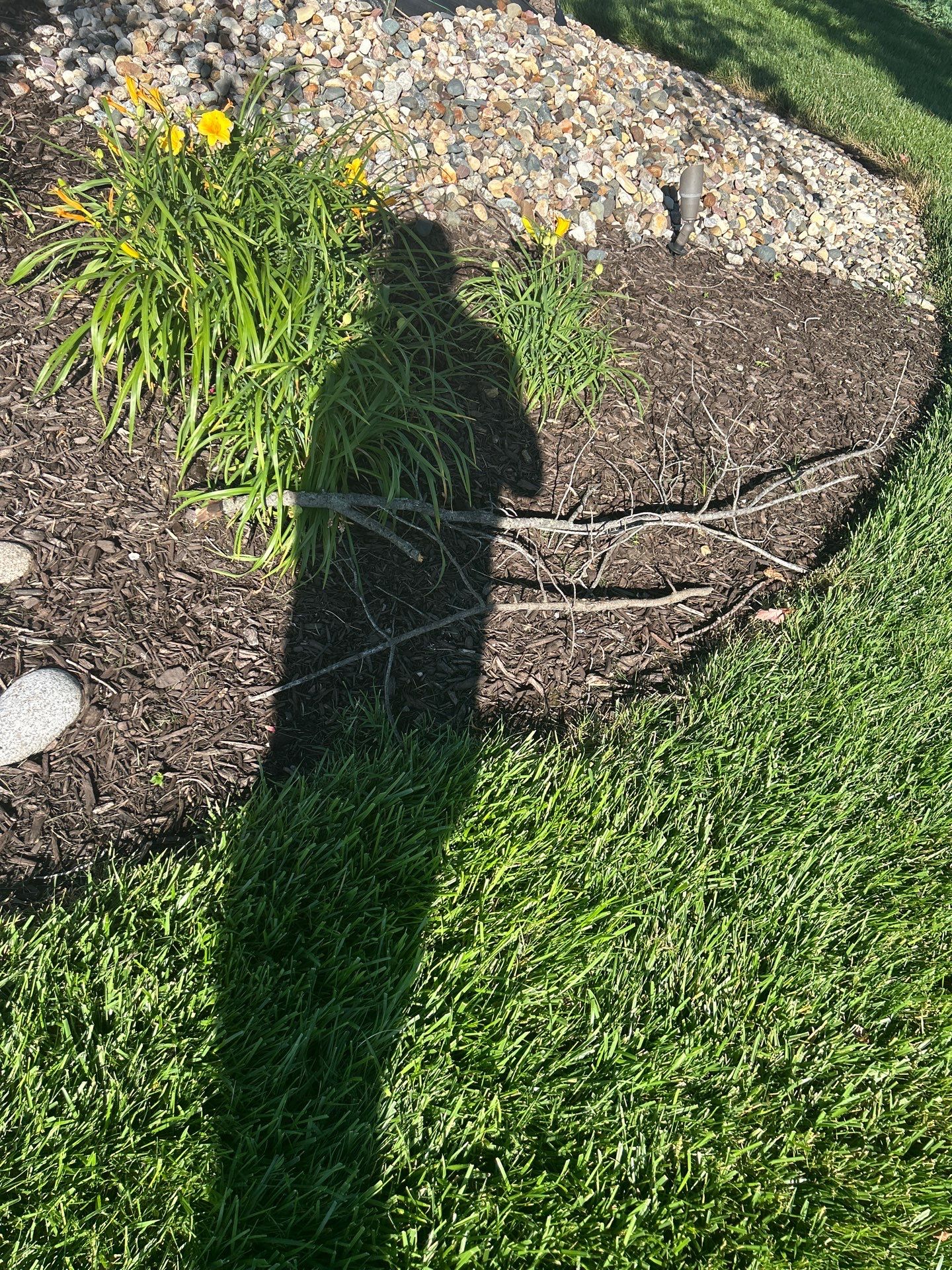 Custom Lawn QC visit  by Custom Lawn And Landscape
