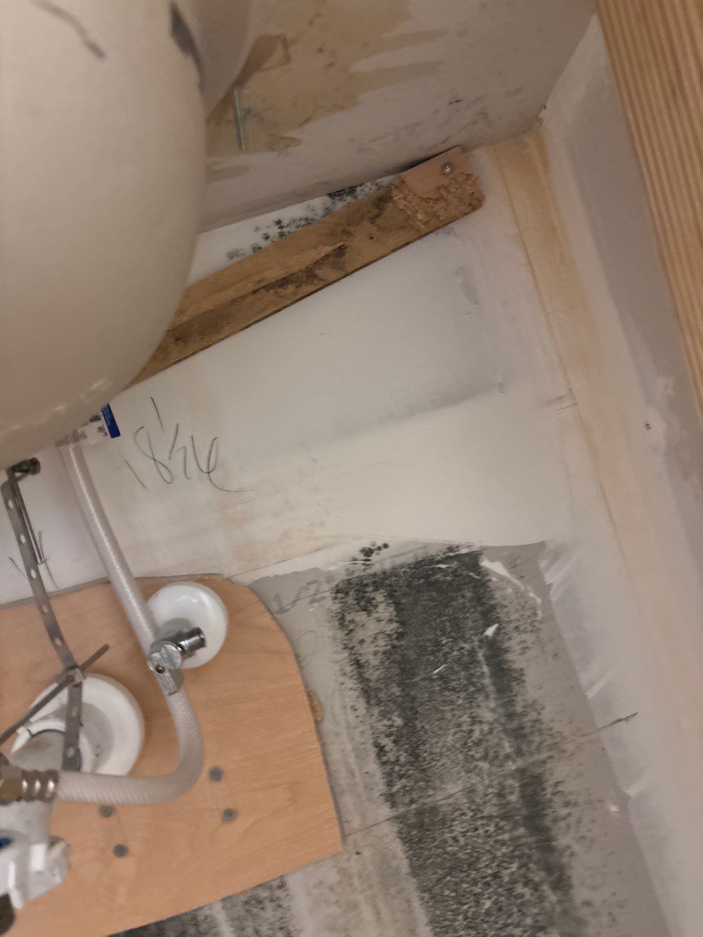 Mold Damage Inspection In Bradenton Florida by Ampm Restoration Services