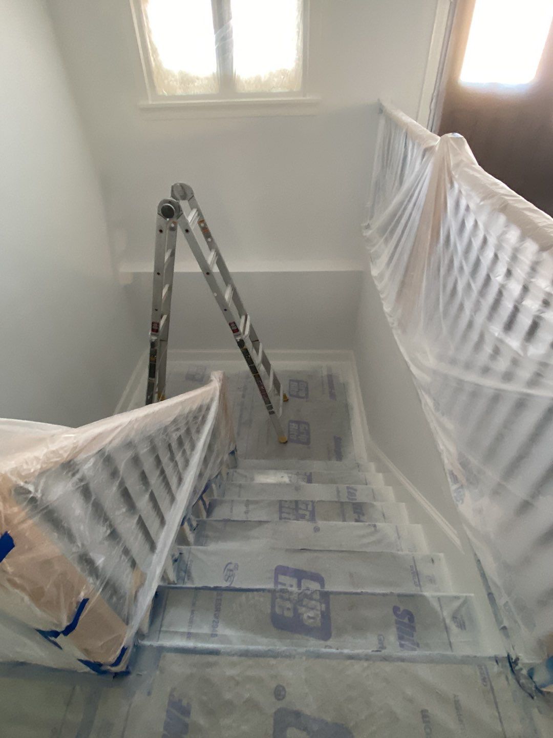 Interior Painting using Snowbound White  by EXCELLENCE | CARTO