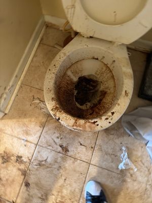 BIO CLEANING