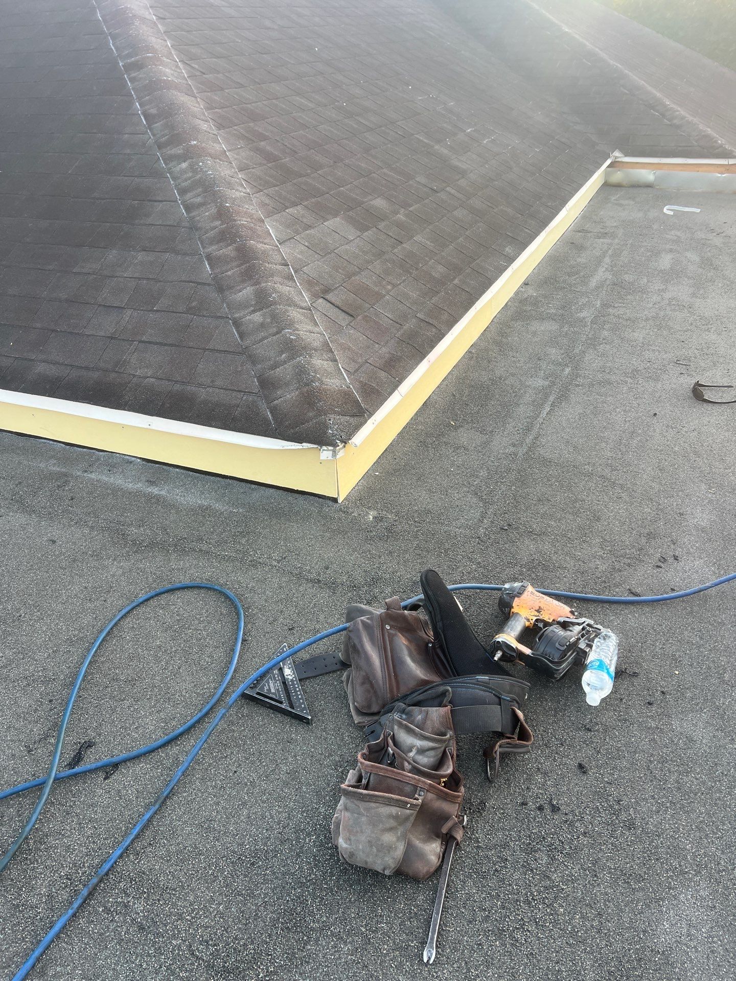 It Ain't Easy getting Shady  by Bayfront Roofing and Construction