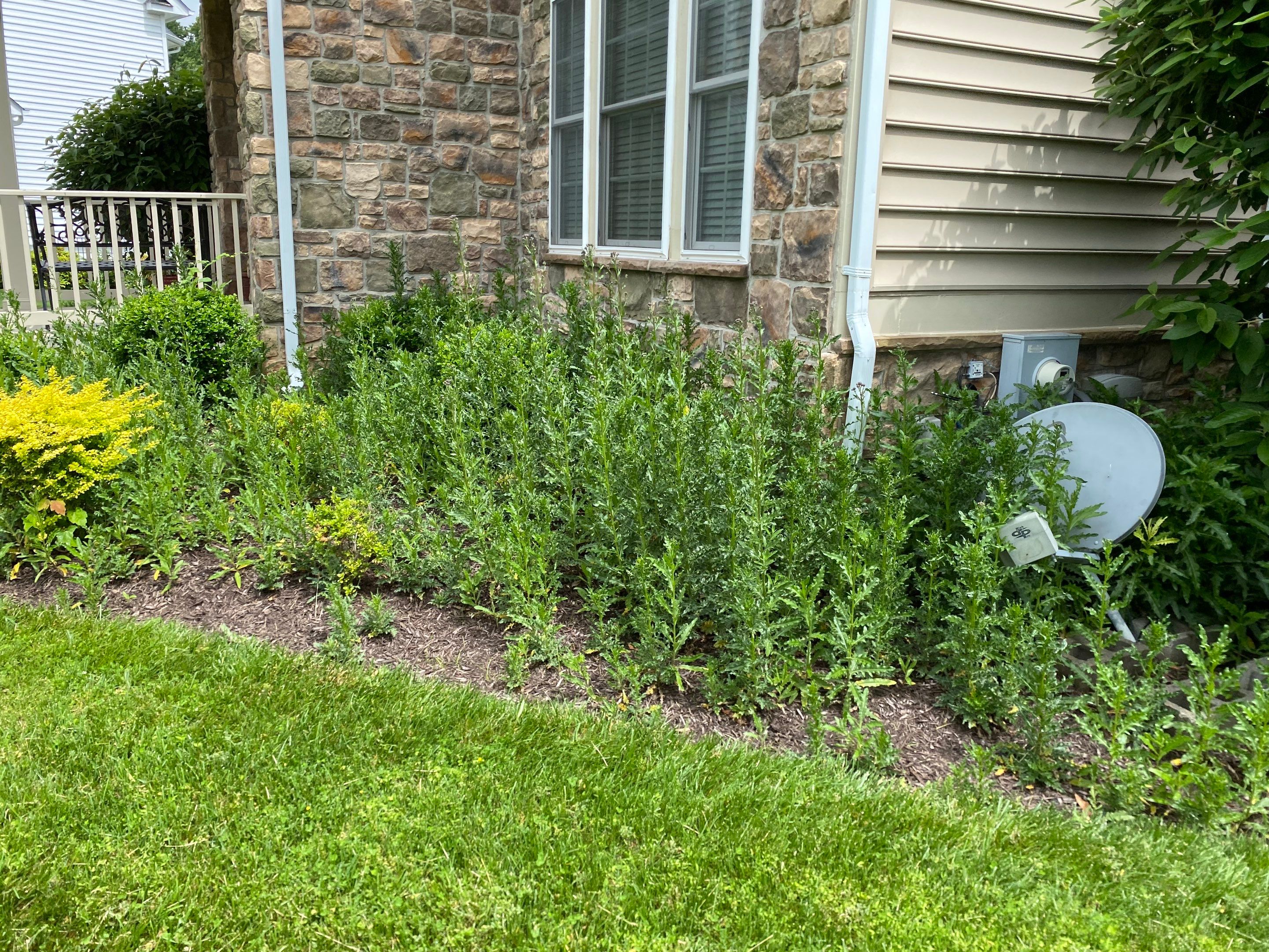 Landscape Cleanup & Mulch  by The Smet Companies, LLC