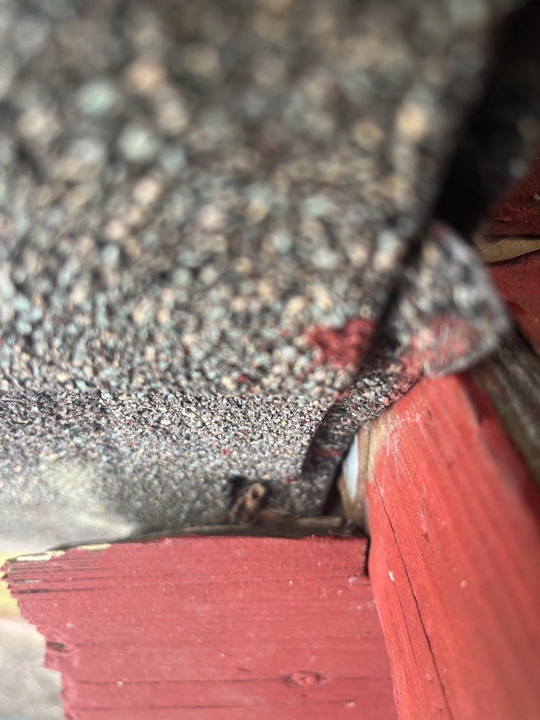 Patio Problems by Bayfront Roofing and Construction