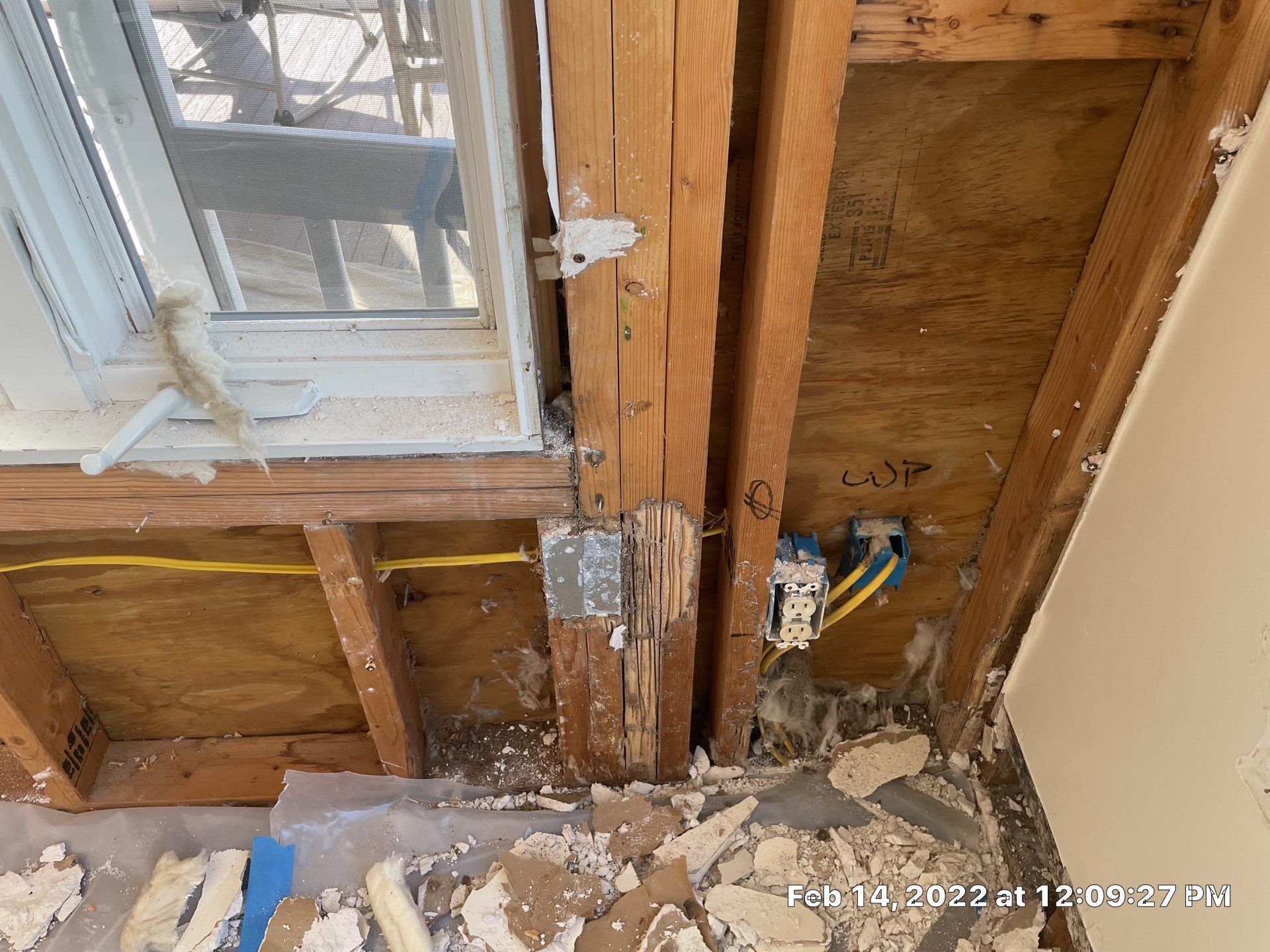 Luxury Home - Owners find termites and need interior selective demo, prior to repairs. by EAS Environmental, LLC.