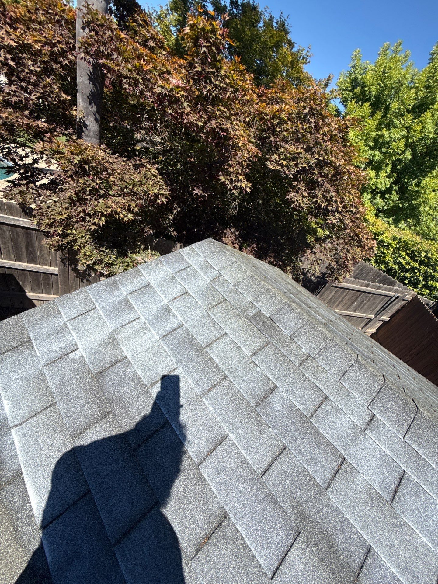 Roof Rejuvenation using Roof Maxx Treatment by Roof Maxx of Folsom