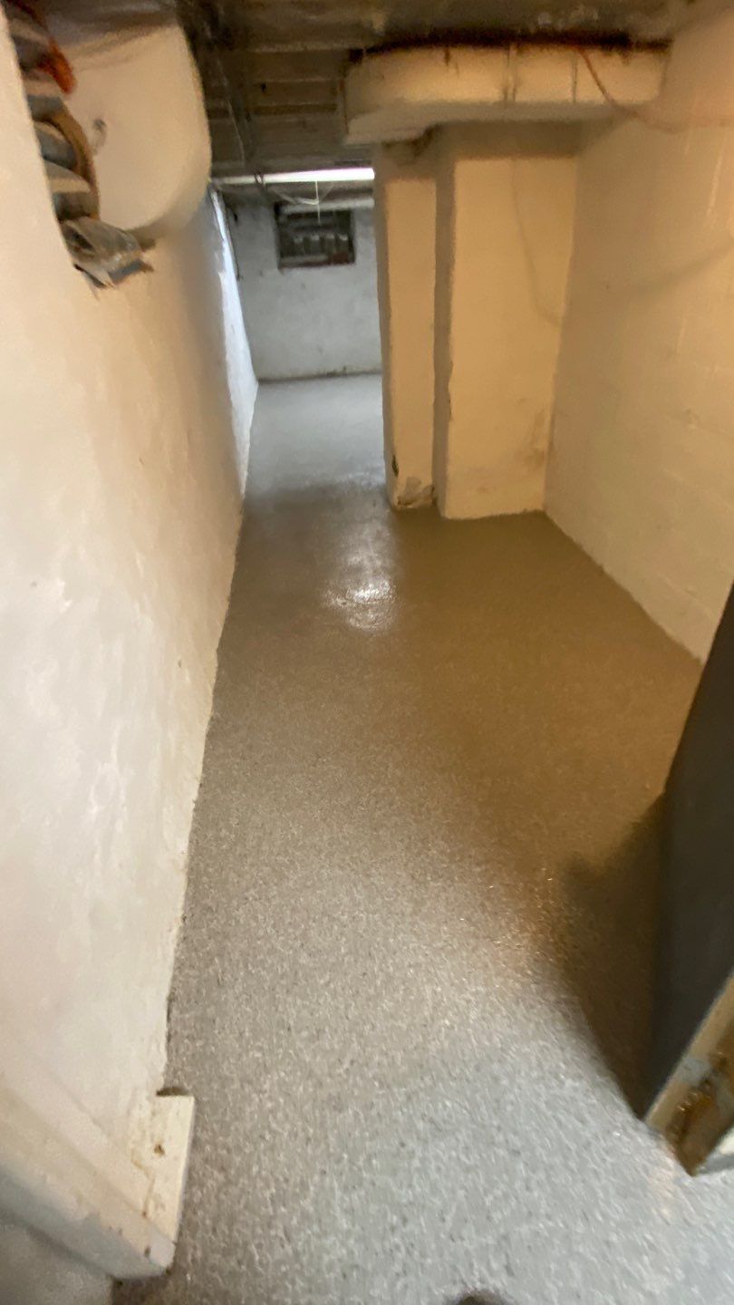 Cat Hospital Project in Pittsburgh by Floors in a Day, Inc