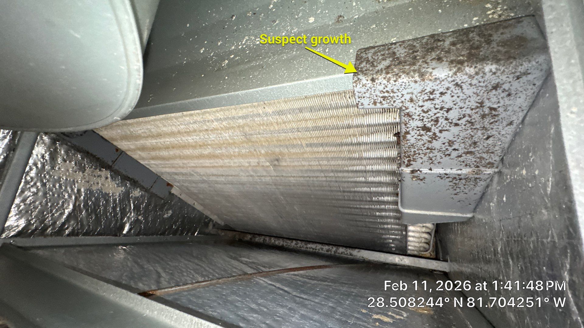 Air Duct Cleaning Dryer Vent Repair Sealed Plenum Clermont by Hygienic Air, Inc