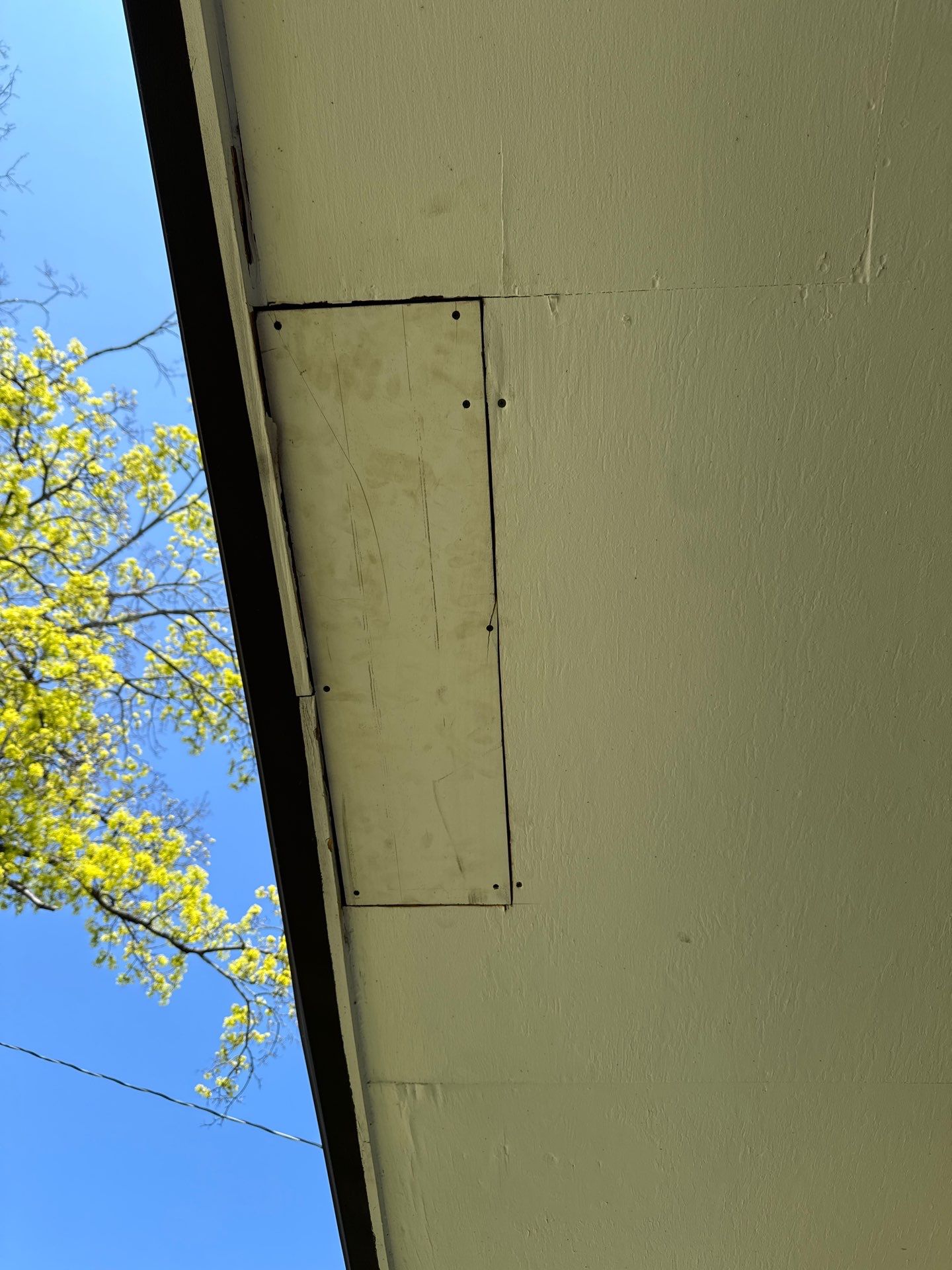 Project in jamaica plain, ma by CabralCarpentry & Painting LLC