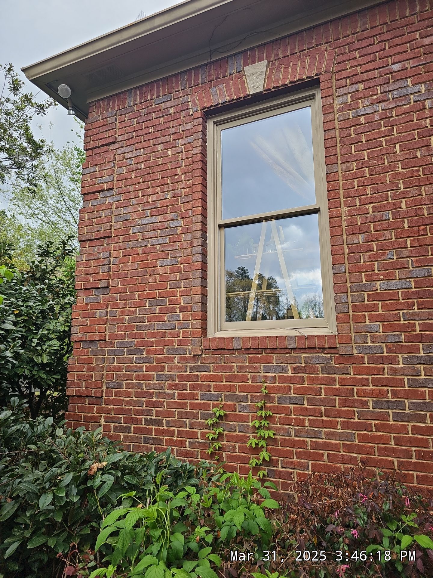 Hoyt Project in Birmingham by The Window Source