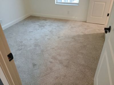 Carpet