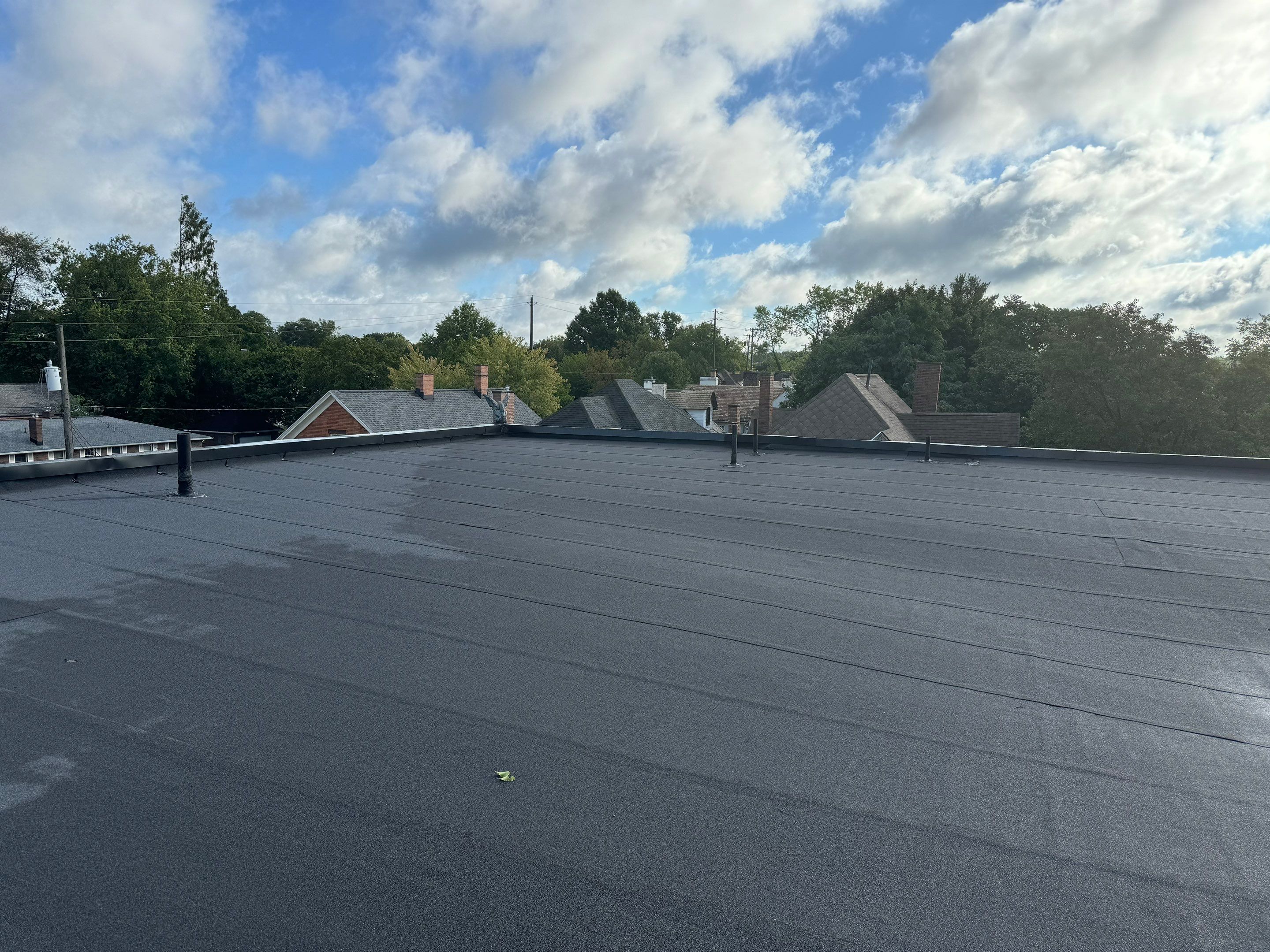 Paul Bille by Silver Leaf Contracting 
