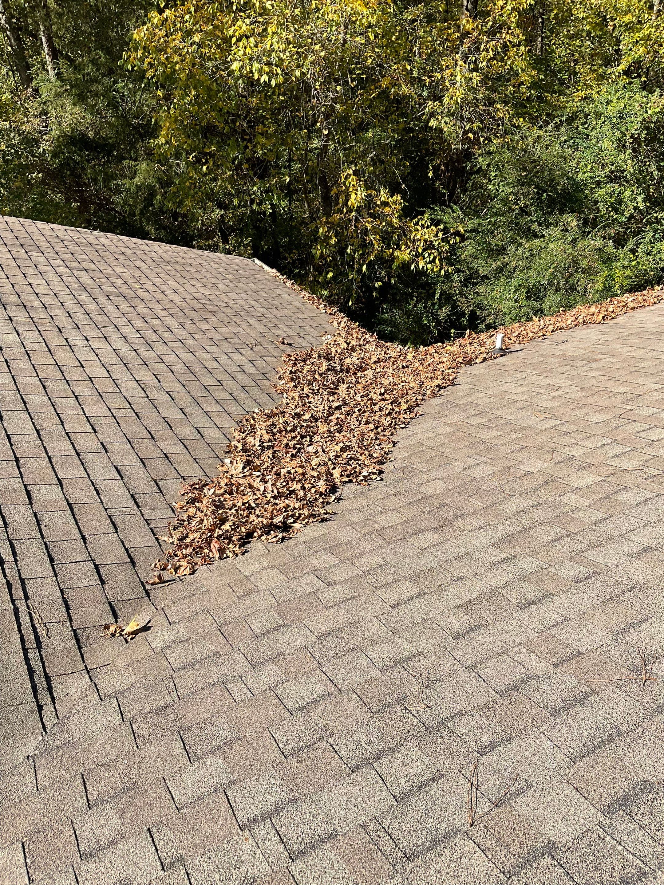 Gutter Cleaning by Bullard Roofing