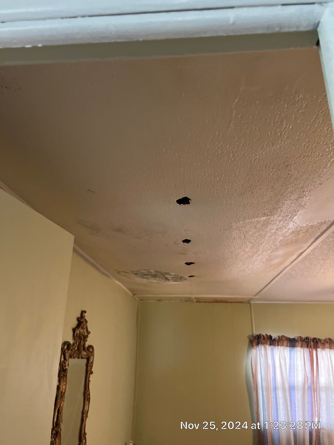 Mold Remediation Palmetto by Ampm Restoration Services 