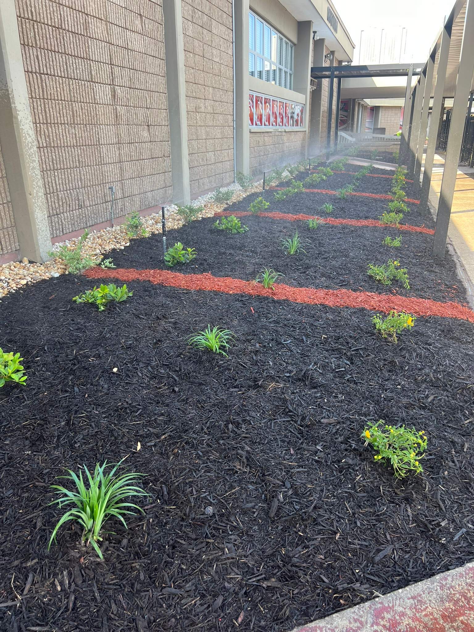 Landscape Install | Wilkinson JHS by ProGreen Services