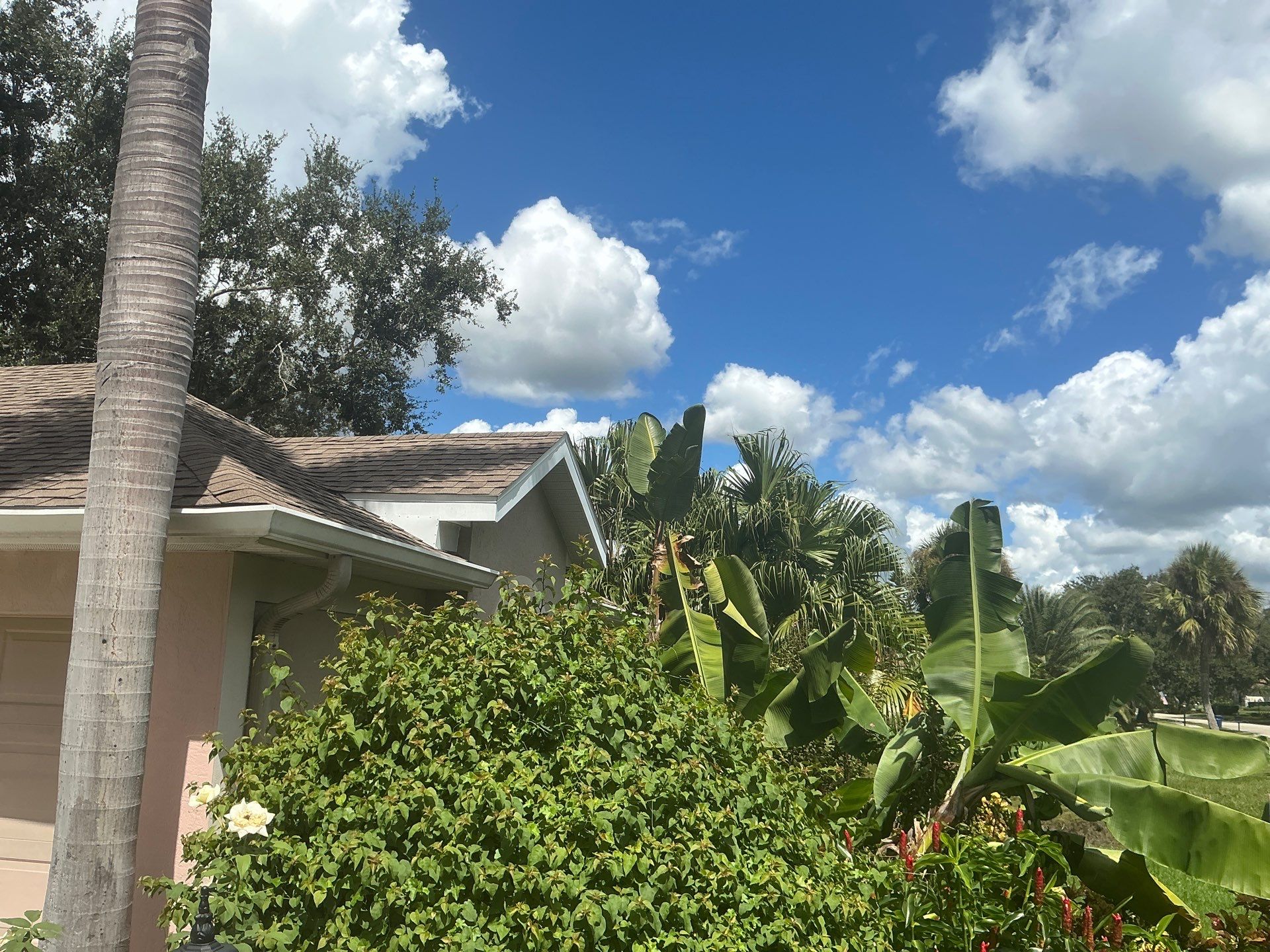 White 6-Inch Seamless Gutters in Sarasota FL by Gutter Professor by Gutter Professors